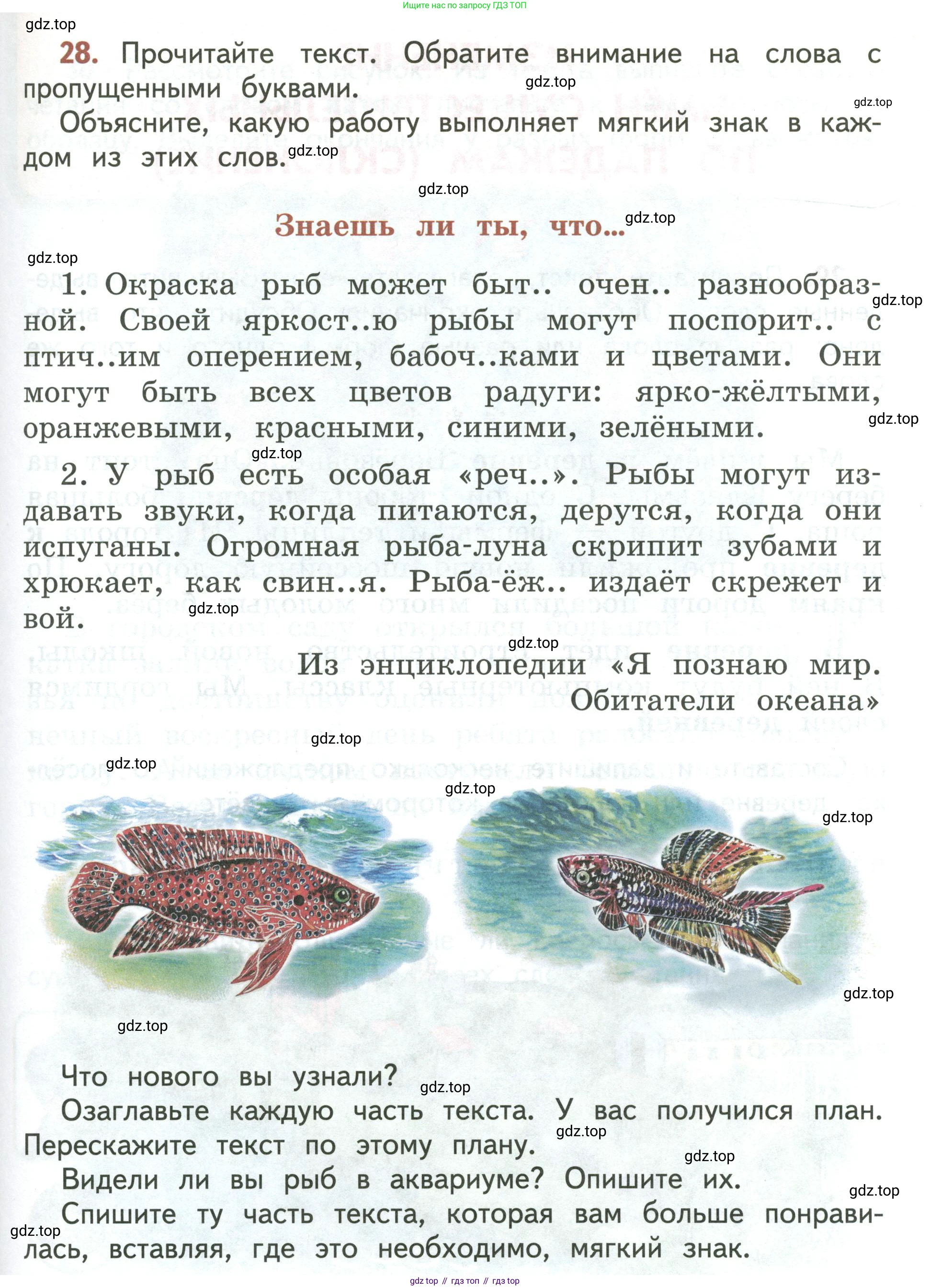Русский язык, 3 класс Учебник, авторы: Климанова Людмила Федоровна, Бабушкина Татьяна Владимировна, издательство Просвещение, Москва, 2019, белого цвета, Часть 2, страница 17, номер 28, Условие