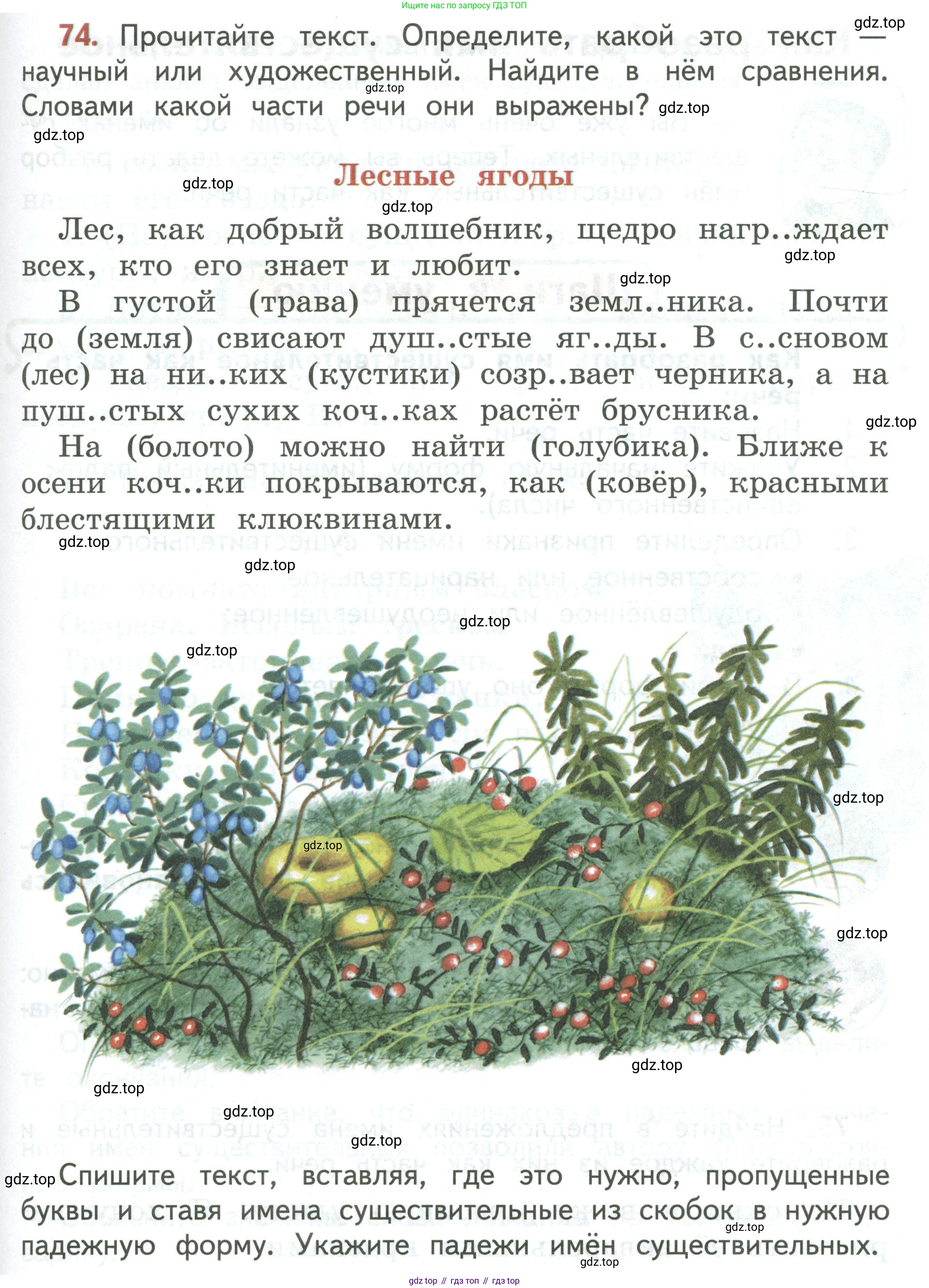 Русский язык, 3 класс Учебник, авторы: Климанова Людмила Федоровна, Бабушкина Татьяна Владимировна, издательство Просвещение, Москва, 2019, белого цвета, Часть 2, страница 41, номер 74, Условие