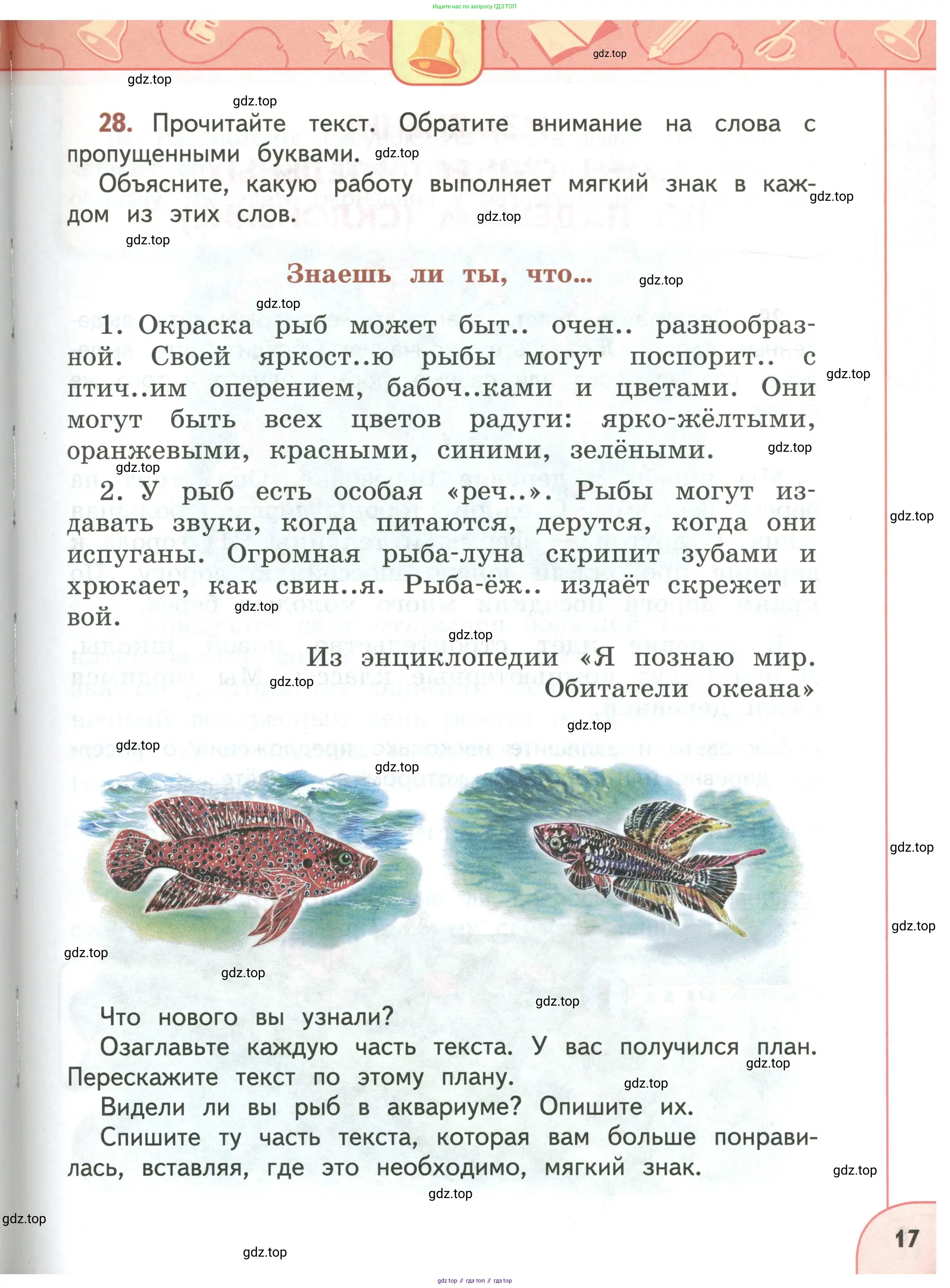 Русский язык, 3 класс Учебник, авторы: Климанова Людмила Федоровна, Бабушкина Татьяна Владимировна, издательство Просвещение, Москва, 2019, белого цвета, Часть 1, страница 17