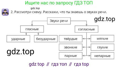 Русский язык, 4 класс Учебник, авторы: Богатырёва Елена Васильевна, Бучина Раиса Александровна, Регель Надежда Васильевна, Труханова Ольга Ивановна, Штукина Елена Эдуардовна, издательство Алматыкітап баспасы, Алматы, 2023, Часть 1, страница 13, номер 2, Условие