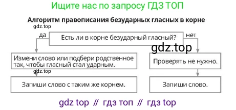 Русский язык, 4 класс Учебник, авторы: Богатырёва Елена Васильевна, Бучина Раиса Александровна, Регель Надежда Васильевна, Труханова Ольга Ивановна, Штукина Елена Эдуардовна, издательство Алматыкітап баспасы, Алматы, 2023, Часть 1, страница 18, номер 3, Условие (продолжение 2)