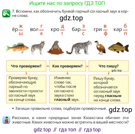 Русский язык, 4 класс Учебник, авторы: Богатырёва Елена Васильевна, Бучина Раиса Александровна, Регель Надежда Васильевна, Труханова Ольга Ивановна, Штукина Елена Эдуардовна, издательство Алматыкітап баспасы, Алматы, 2023, Часть 1, страница 20, номер 7, Условие
