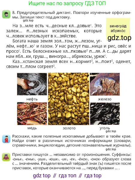 Русский язык, 4 класс Учебник, авторы: Богатырёва Елена Васильевна, Бучина Раиса Александровна, Регель Надежда Васильевна, Труханова Ольга Ивановна, Штукина Елена Эдуардовна, издательство Алматыкітап баспасы, Алматы, 2023, Часть 1, страница 25, номер 8, Условие