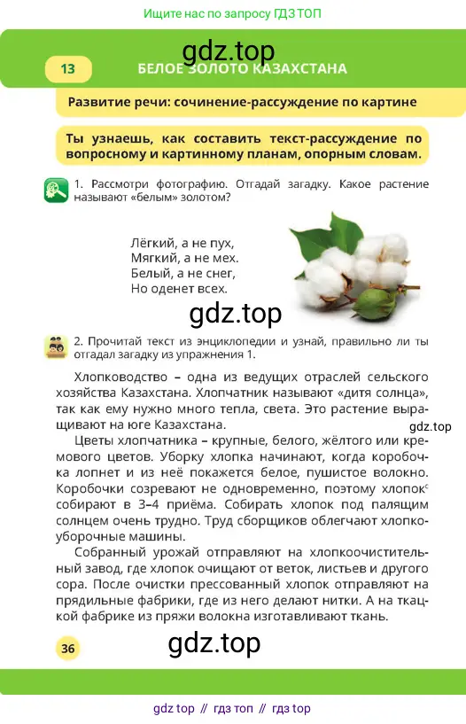 Русский язык, 4 класс Учебник, авторы: Богатырёва Елена Васильевна, Бучина Раиса Александровна, Регель Надежда Васильевна, Труханова Ольга Ивановна, Штукина Елена Эдуардовна, издательство Алматыкітап баспасы, Алматы, 2023, Часть 1, страница 36