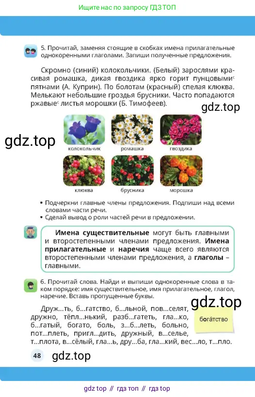 Русский язык, 4 класс Учебник, авторы: Богатырёва Елена Васильевна, Бучина Раиса Александровна, Регель Надежда Васильевна, Труханова Ольга Ивановна, Штукина Елена Эдуардовна, издательство Алматыкітап баспасы, Алматы, 2023, Часть 1, страница 48