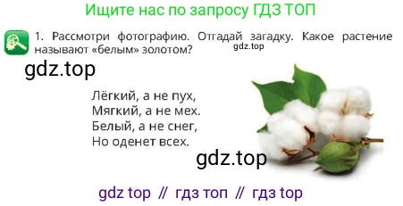 Русский язык, 4 класс Учебник, авторы: Богатырёва Елена Васильевна, Бучина Раиса Александровна, Регель Надежда Васильевна, Труханова Ольга Ивановна, Штукина Елена Эдуардовна, издательство Алматыкітап баспасы, Алматы, 2023, Часть 1, страница 36, номер 1, Условие