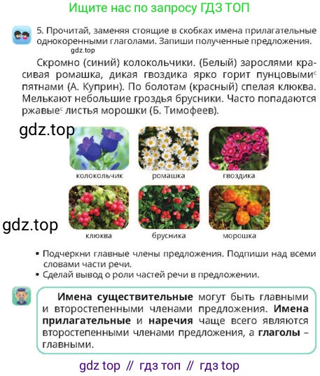 Русский язык, 4 класс Учебник, авторы: Богатырёва Елена Васильевна, Бучина Раиса Александровна, Регель Надежда Васильевна, Труханова Ольга Ивановна, Штукина Елена Эдуардовна, издательство Алматыкітап баспасы, Алматы, 2023, Часть 1, страница 48, номер 5, Условие