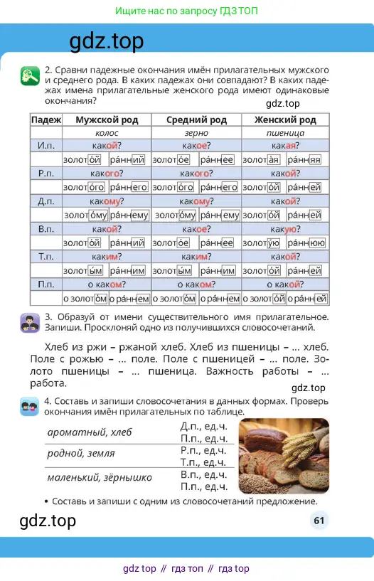 Русский язык, 4 класс Учебник, авторы: Богатырёва Елена Васильевна, Бучина Раиса Александровна, Регель Надежда Васильевна, Труханова Ольга Ивановна, Штукина Елена Эдуардовна, издательство Алматыкітап баспасы, Алматы, 2023, Часть 2, страница 61