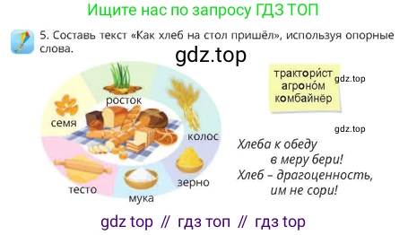 Русский язык, 4 класс Учебник, авторы: Богатырёва Елена Васильевна, Бучина Раиса Александровна, Регель Надежда Васильевна, Труханова Ольга Ивановна, Штукина Елена Эдуардовна, издательство Алматыкітап баспасы, Алматы, 2023, Часть 2, страница 62, номер 5, Условие