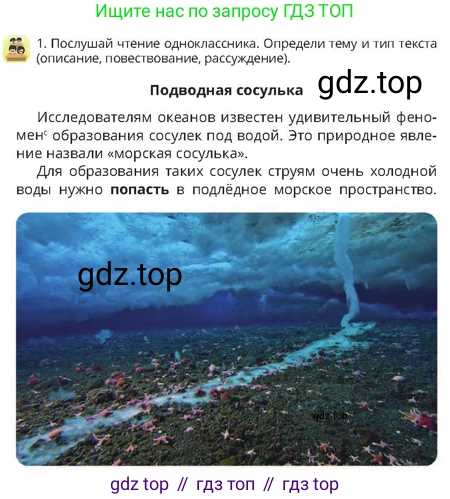 Русский язык, 4 класс Учебник, авторы: Богатырёва Елена Васильевна, Бучина Раиса Александровна, Регель Надежда Васильевна, Труханова Ольга Ивановна, Штукина Елена Эдуардовна, издательство Алматыкітап баспасы, Алматы, 2023, Часть 3, страница 44, номер 1, Условие