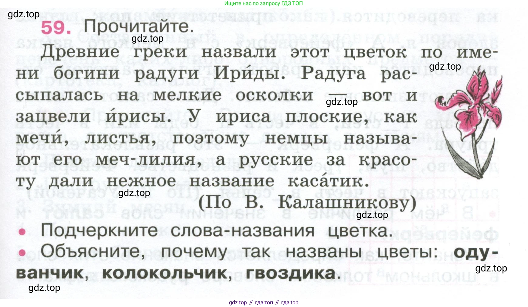 ГДЗ Русский язык, 4 класс рабочая тетрадь, автор: Канакина Валентина Павловна, издательство Просвещение, Москва, 2023, белого цвета, Часть 1, страница 29, номер 59, Условие