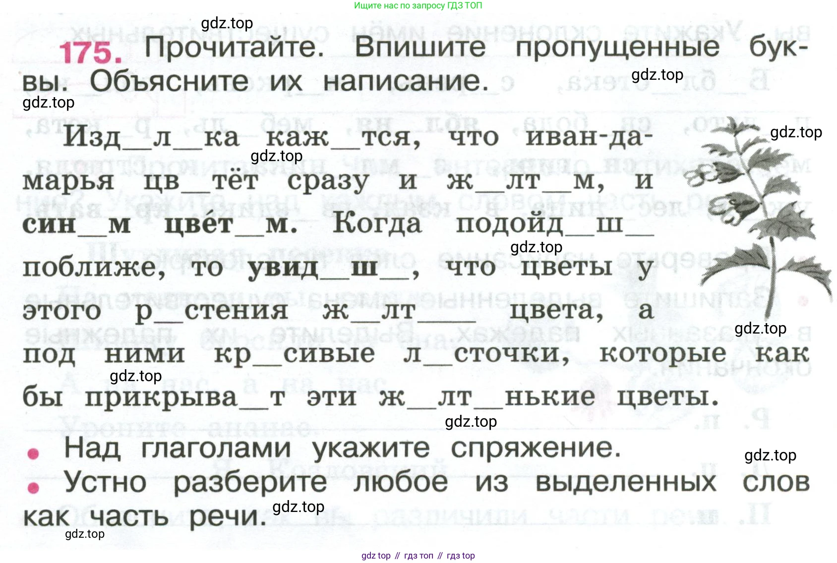ГДЗ Русский язык, 4 класс рабочая тетрадь, автор: Канакина Валентина Павловна, издательство Просвещение, Москва, 2023, белого цвета, Часть 2, страница 76, номер 175, Условие