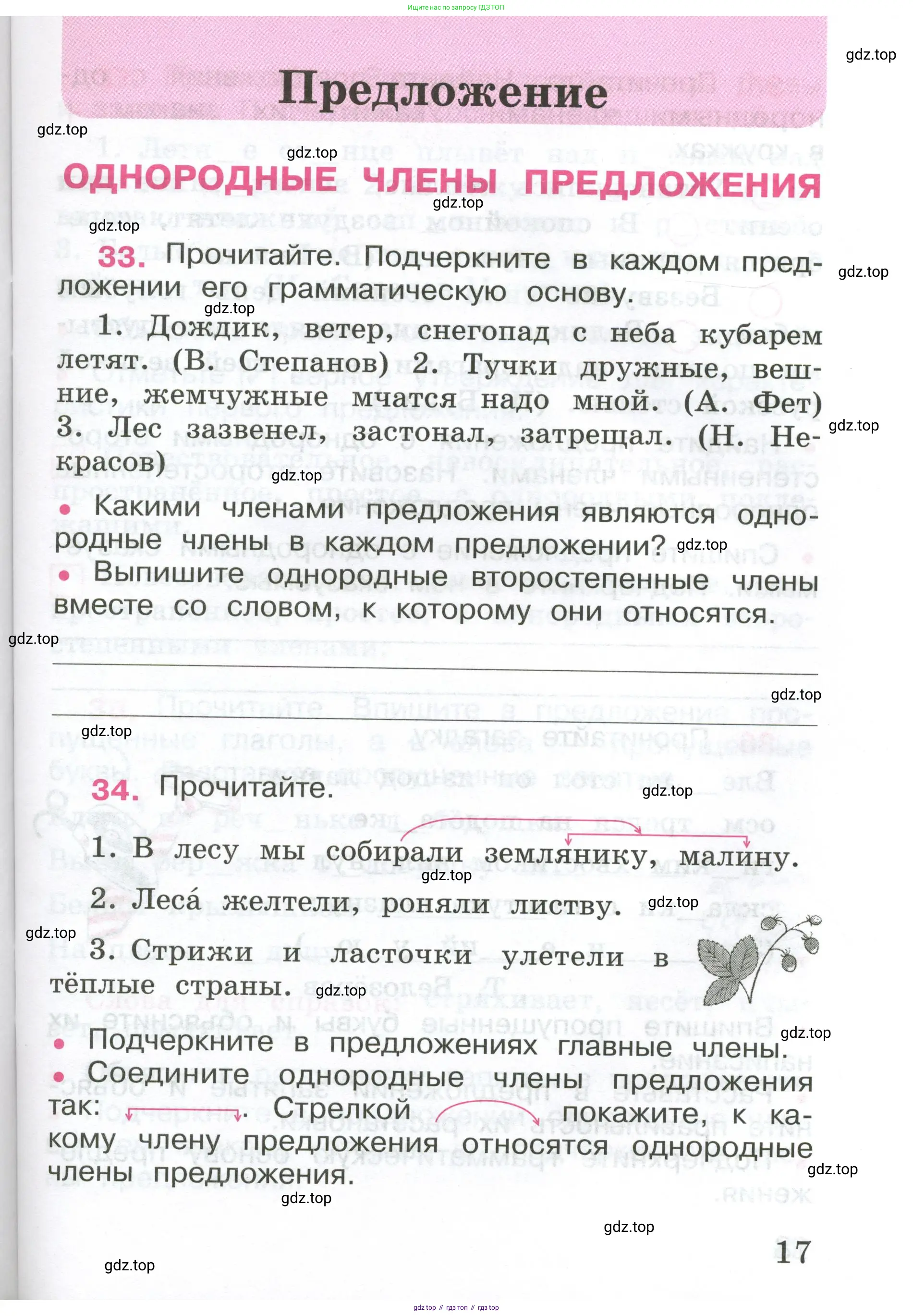 ГДЗ Русский язык, 4 класс рабочая тетрадь, автор: Канакина Валентина Павловна, издательство Просвещение, Москва, 2023, белого цвета, Часть 1, страница 17