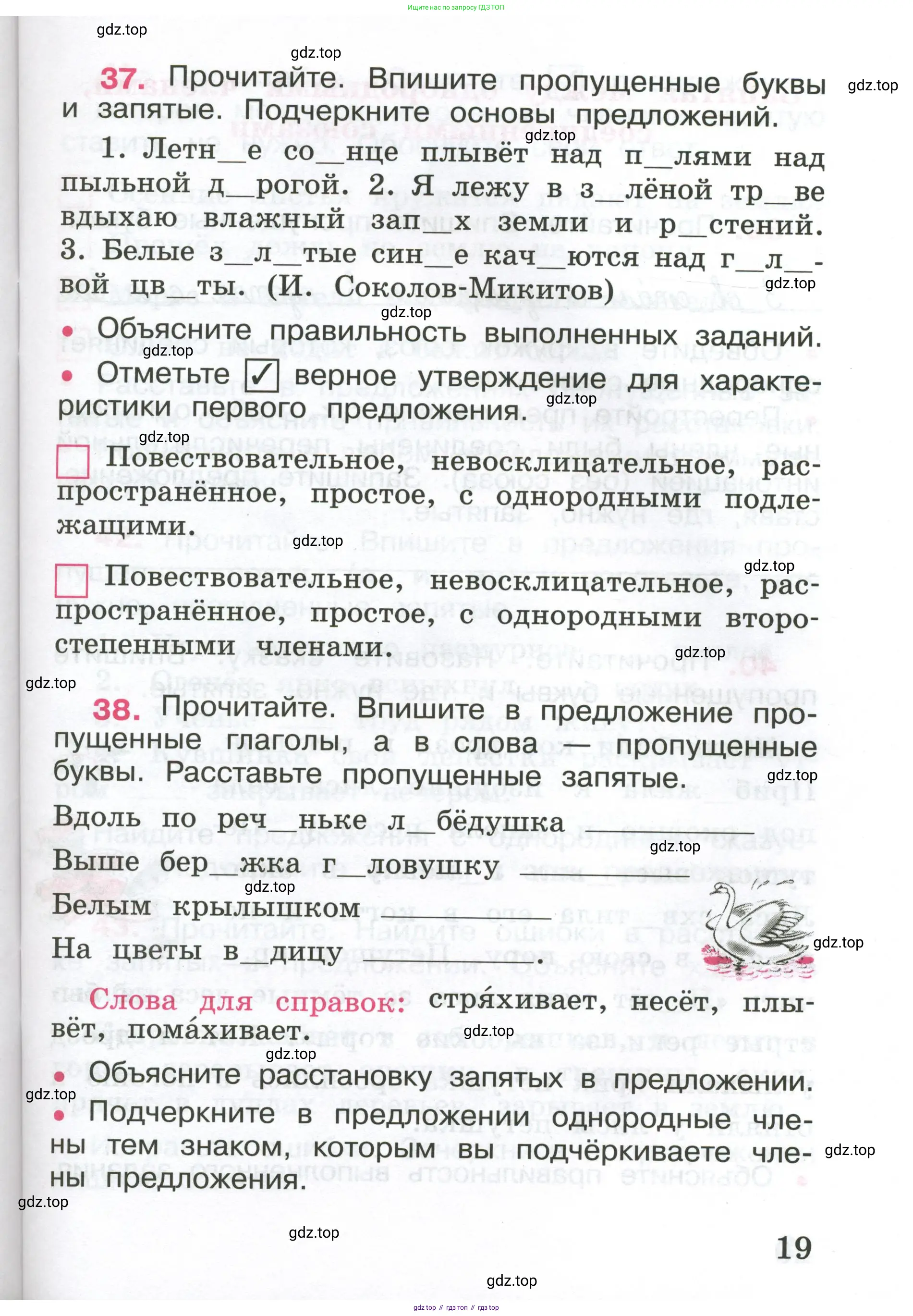 ГДЗ Русский язык, 4 класс рабочая тетрадь, автор: Канакина Валентина Павловна, издательство Просвещение, Москва, 2023, белого цвета, Часть 1, страница 19