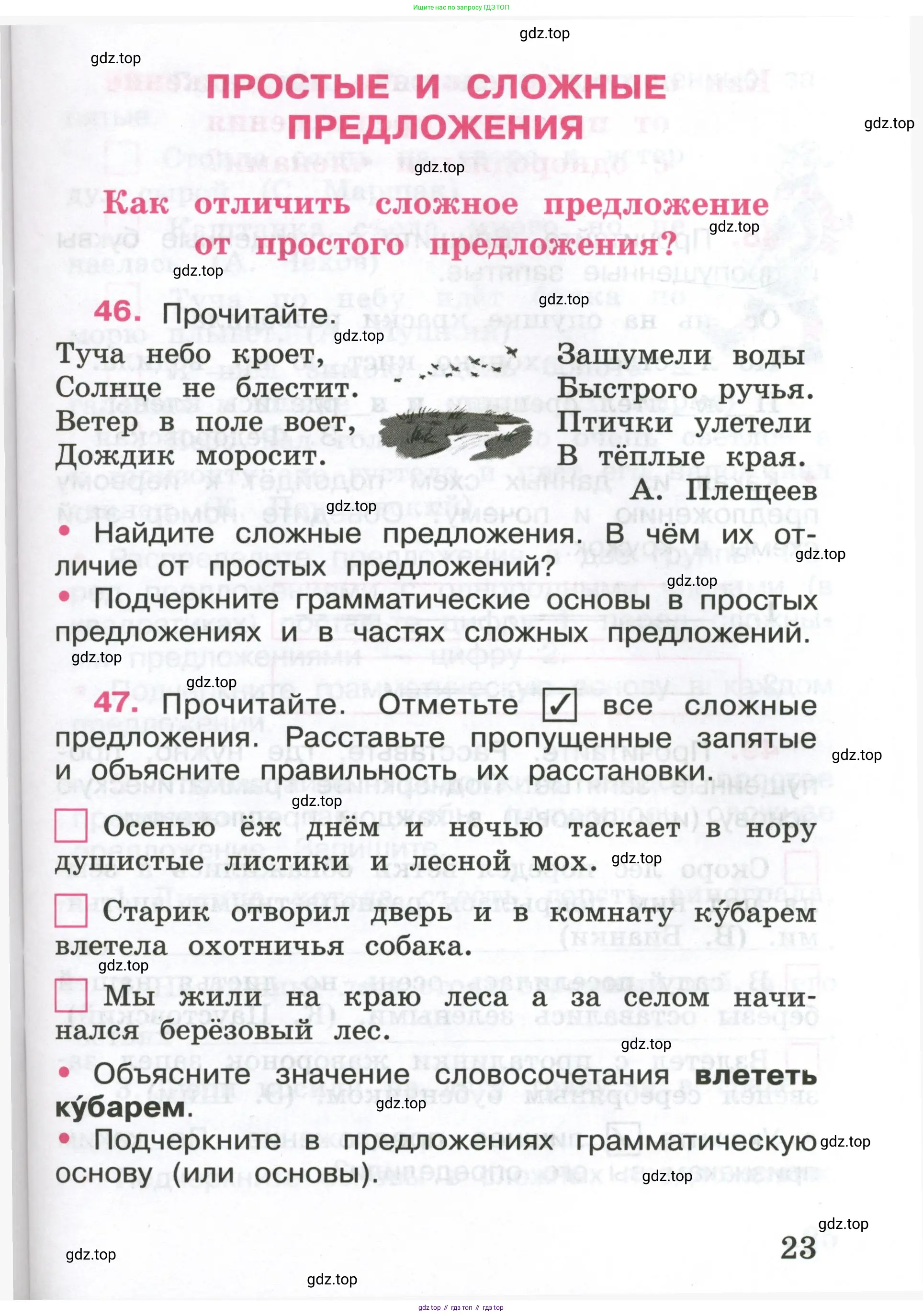 ГДЗ Русский язык, 4 класс рабочая тетрадь, автор: Канакина Валентина Павловна, издательство Просвещение, Москва, 2023, белого цвета, Часть 1, страница 23