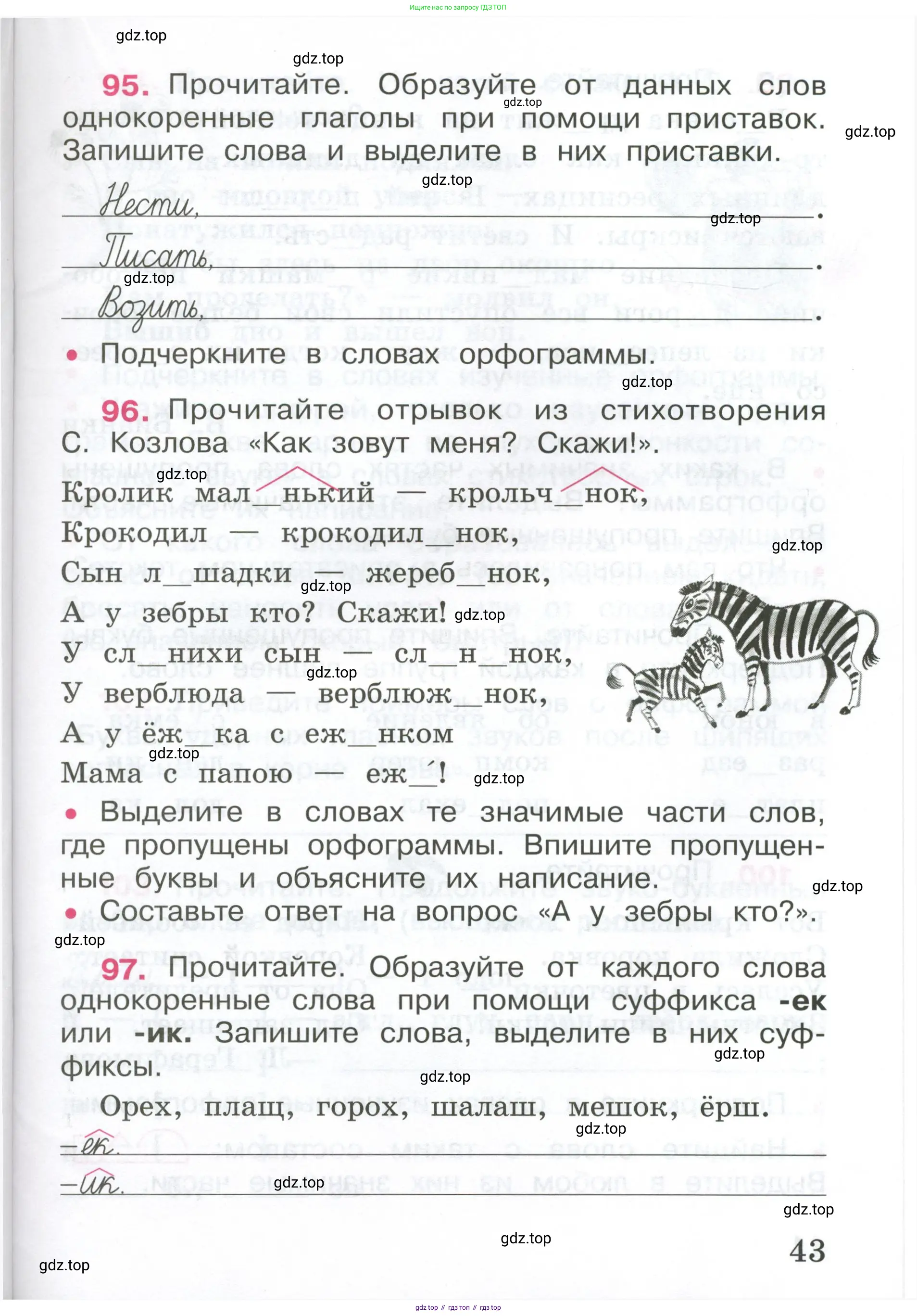 ГДЗ Русский язык, 4 класс рабочая тетрадь, автор: Канакина Валентина Павловна, издательство Просвещение, Москва, 2023, белого цвета, Часть 1, страница 43