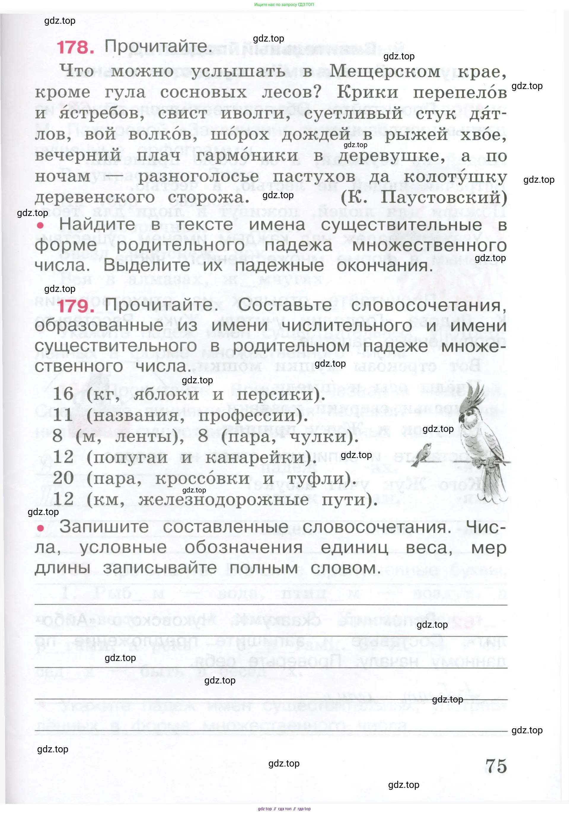 ГДЗ Русский язык, 4 класс рабочая тетрадь, автор: Канакина Валентина Павловна, издательство Просвещение, Москва, 2023, белого цвета, Часть 1, страница 75