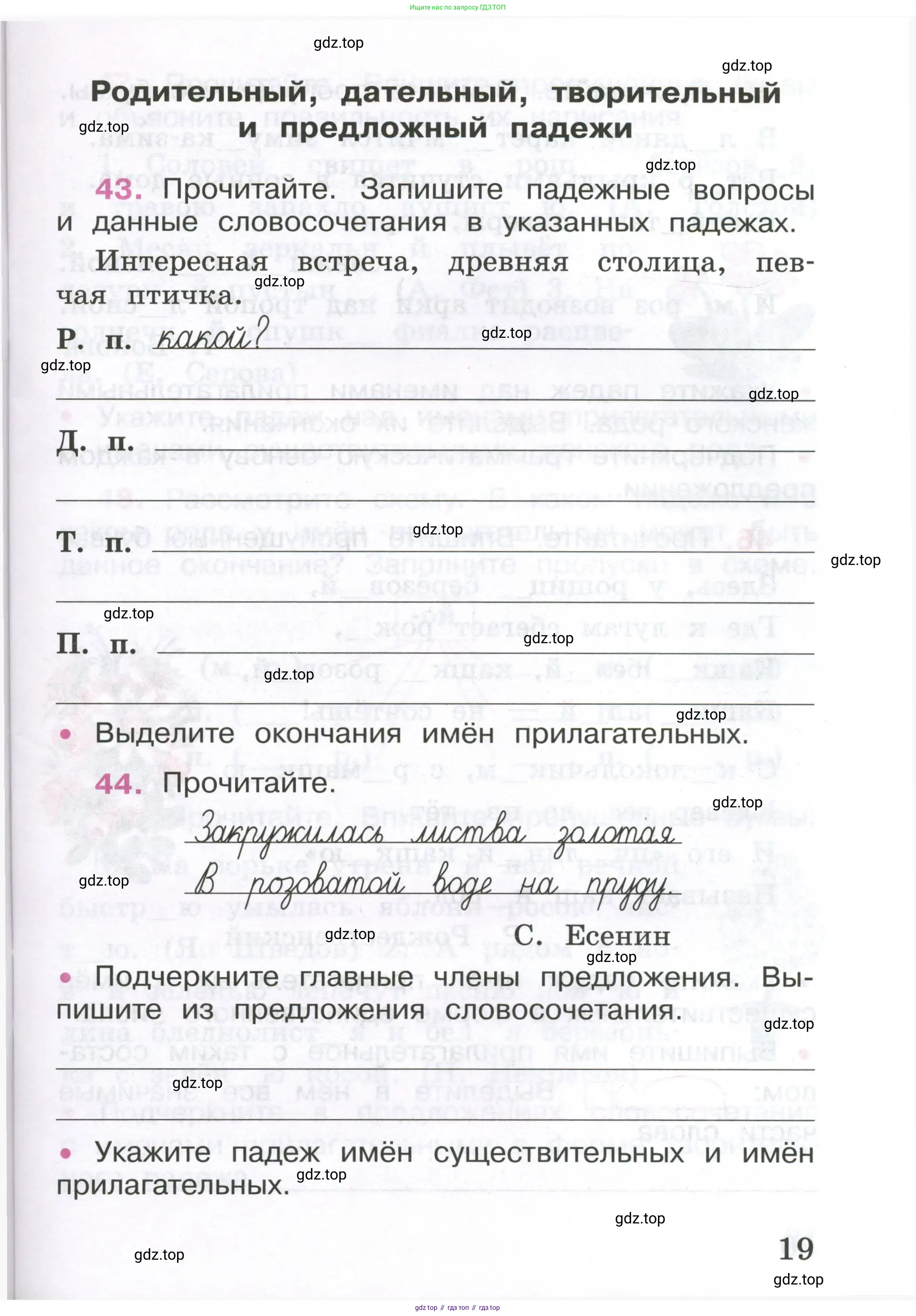 ГДЗ Русский язык, 4 класс рабочая тетрадь, автор: Канакина Валентина Павловна, издательство Просвещение, Москва, 2023, белого цвета, Часть 1, страница 19