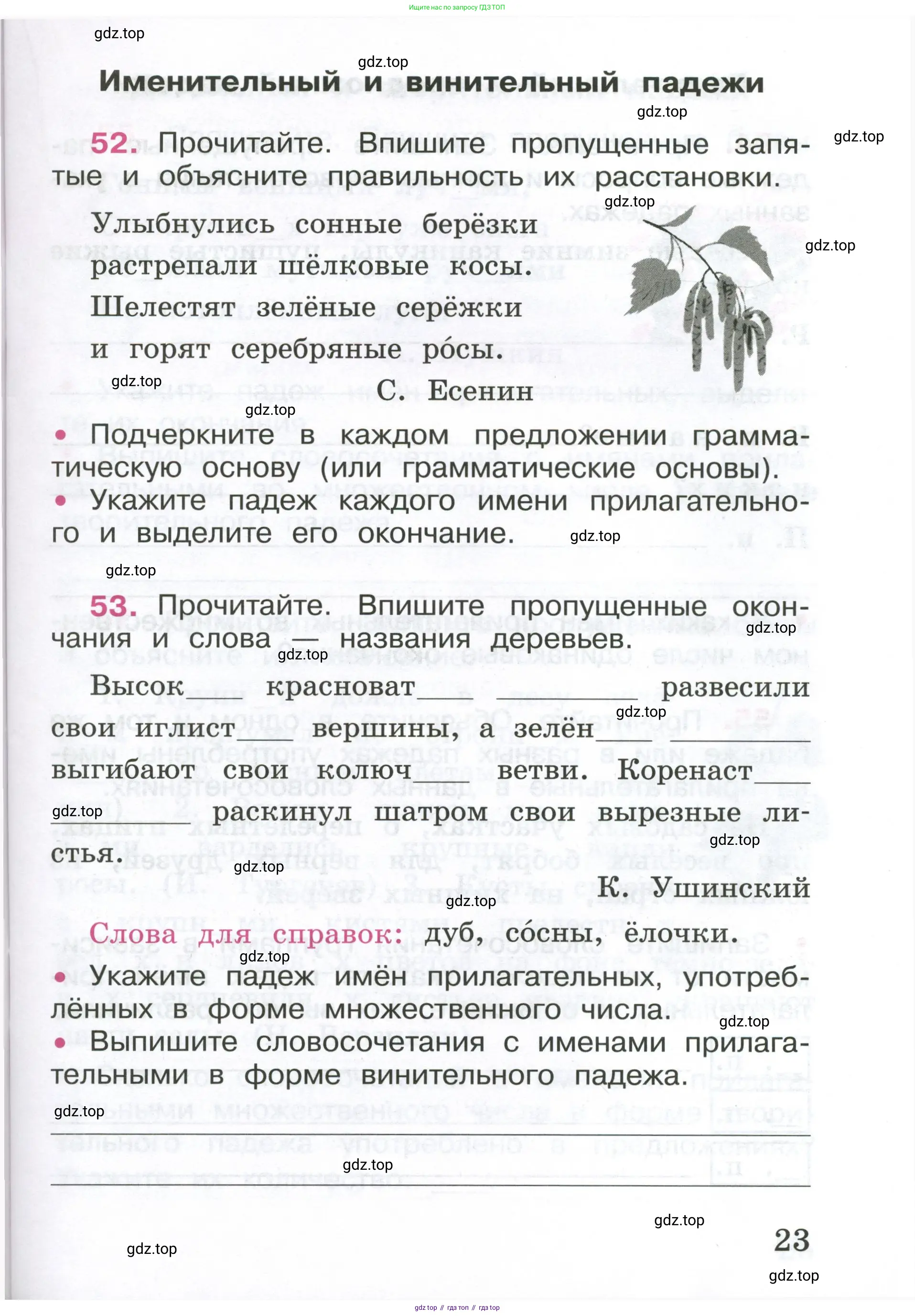 ГДЗ Русский язык, 4 класс рабочая тетрадь, автор: Канакина Валентина Павловна, издательство Просвещение, Москва, 2023, белого цвета, Часть 1, страница 23