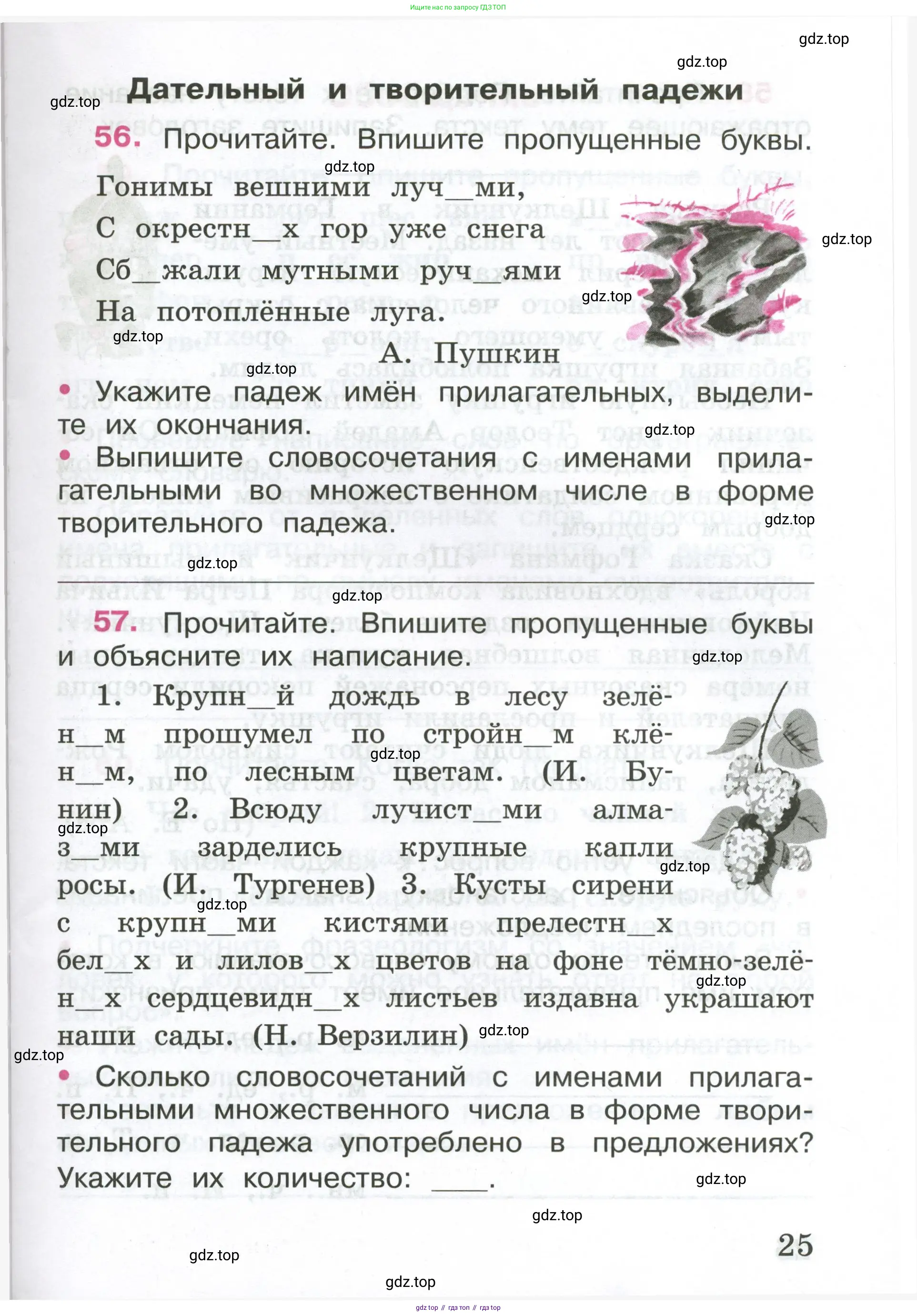 ГДЗ Русский язык, 4 класс рабочая тетрадь, автор: Канакина Валентина Павловна, издательство Просвещение, Москва, 2023, белого цвета, Часть 1, страница 25