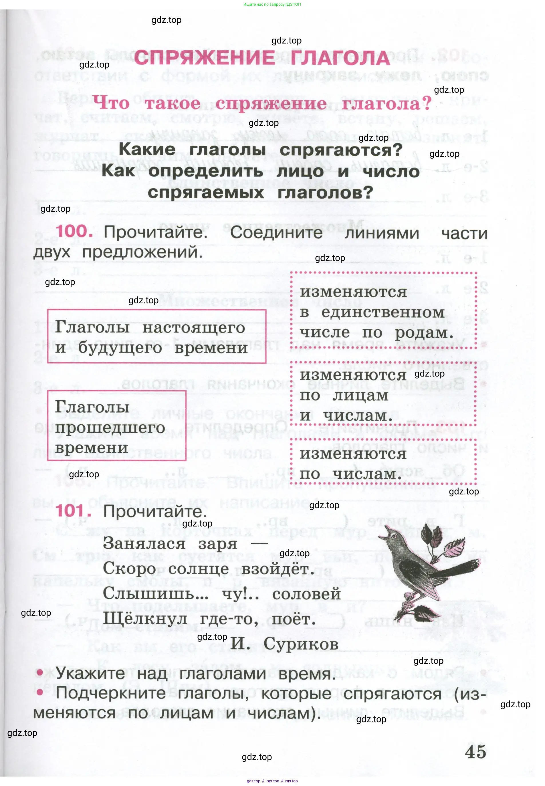 ГДЗ Русский язык, 4 класс рабочая тетрадь, автор: Канакина Валентина Павловна, издательство Просвещение, Москва, 2023, белого цвета, Часть 1, страница 45