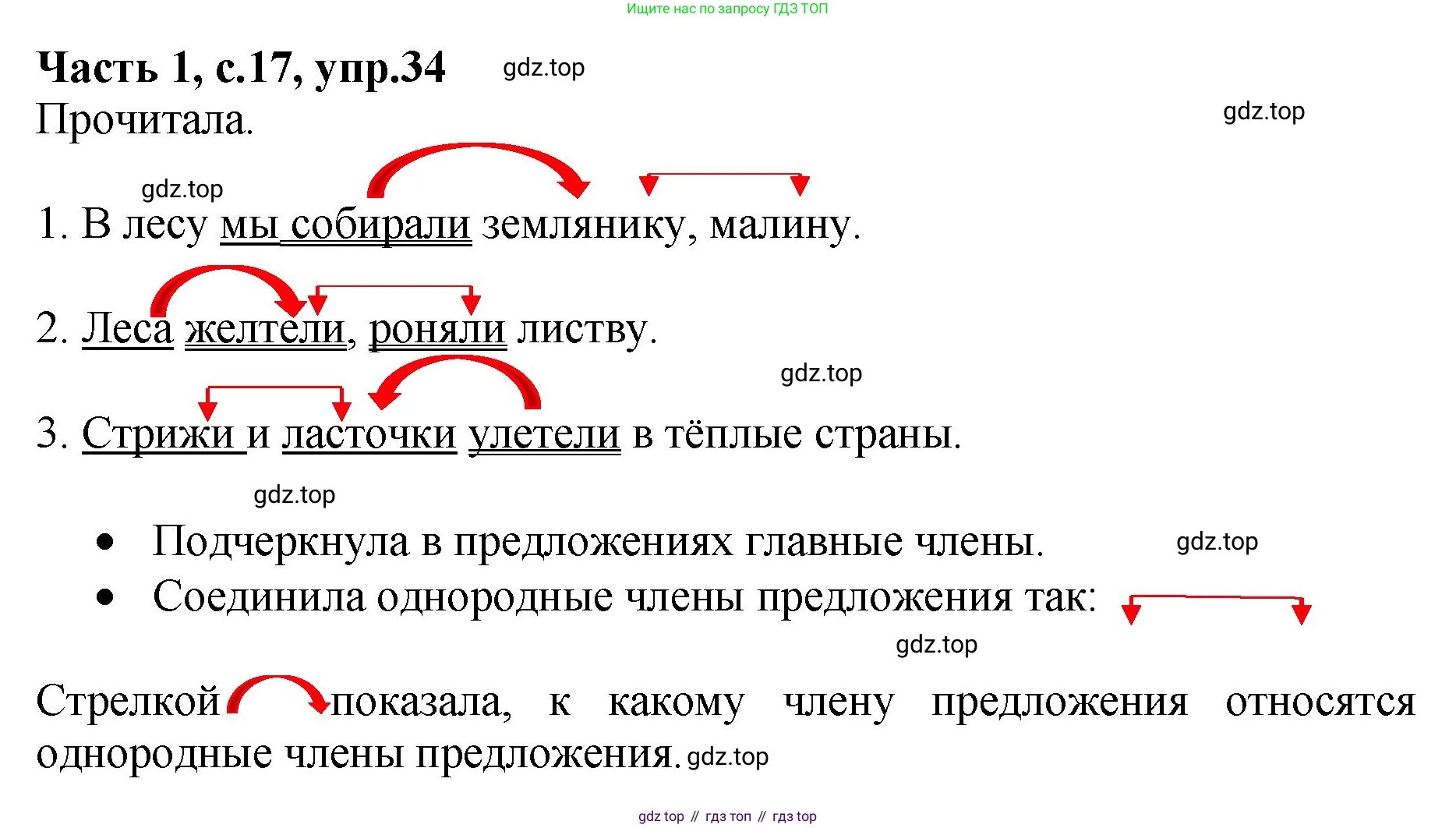 ГДЗ Русский язык, 4 класс рабочая тетрадь, автор: Канакина Валентина Павловна, издательство Просвещение, Москва, 2023, белого цвета, Часть 1, страница 17, номер 34, Решение