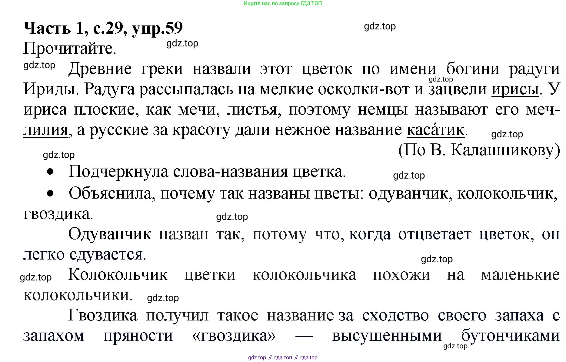 ГДЗ Русский язык, 4 класс рабочая тетрадь, автор: Канакина Валентина Павловна, издательство Просвещение, Москва, 2023, белого цвета, Часть 1, страница 29, номер 59, Решение