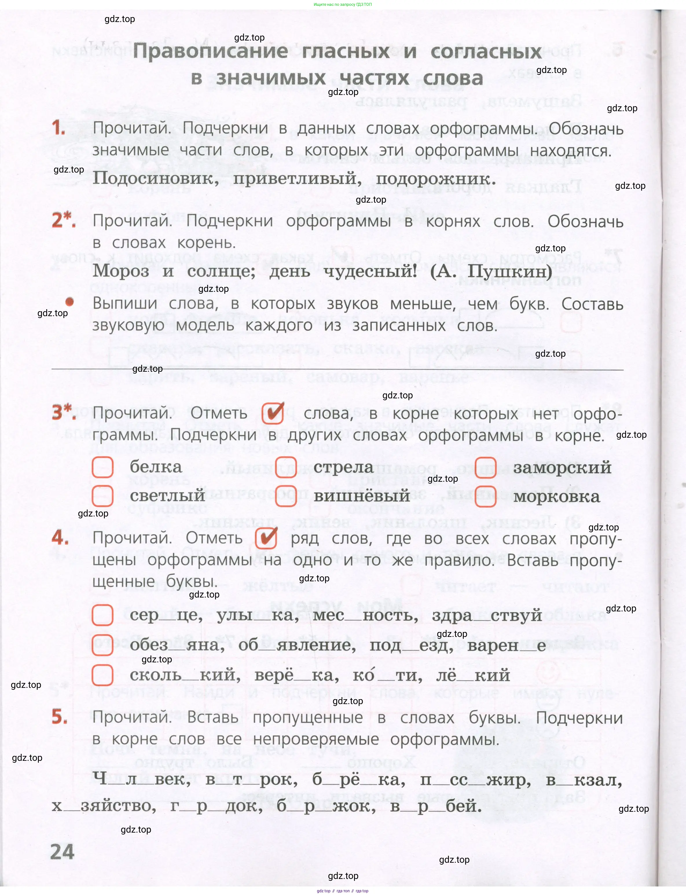 Русский язык, 4 класс Тетрадь учебных достижений, автор: Канакина Валентина Павловна, издательство Просвещение, Москва, 2023, белого цвета, страница 24