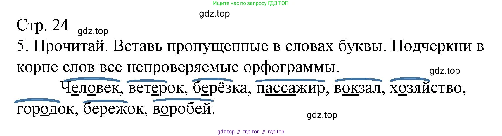 ГДЗ Русский язык, 4 класс Тетрадь учебных достижений, автор: Канакина Валентина Павловна, издательство Просвещение, Москва, 2023, белого цвета, страница 24, номер 5, Решение