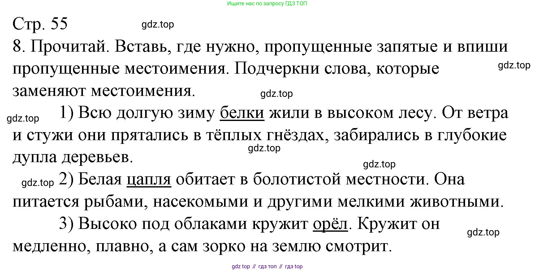 Русский язык, 4 класс Тетрадь учебных достижений, автор: Канакина Валентина Павловна, издательство Просвещение, Москва, 2023, белого цвета, страница 55, номер 8, Решение
