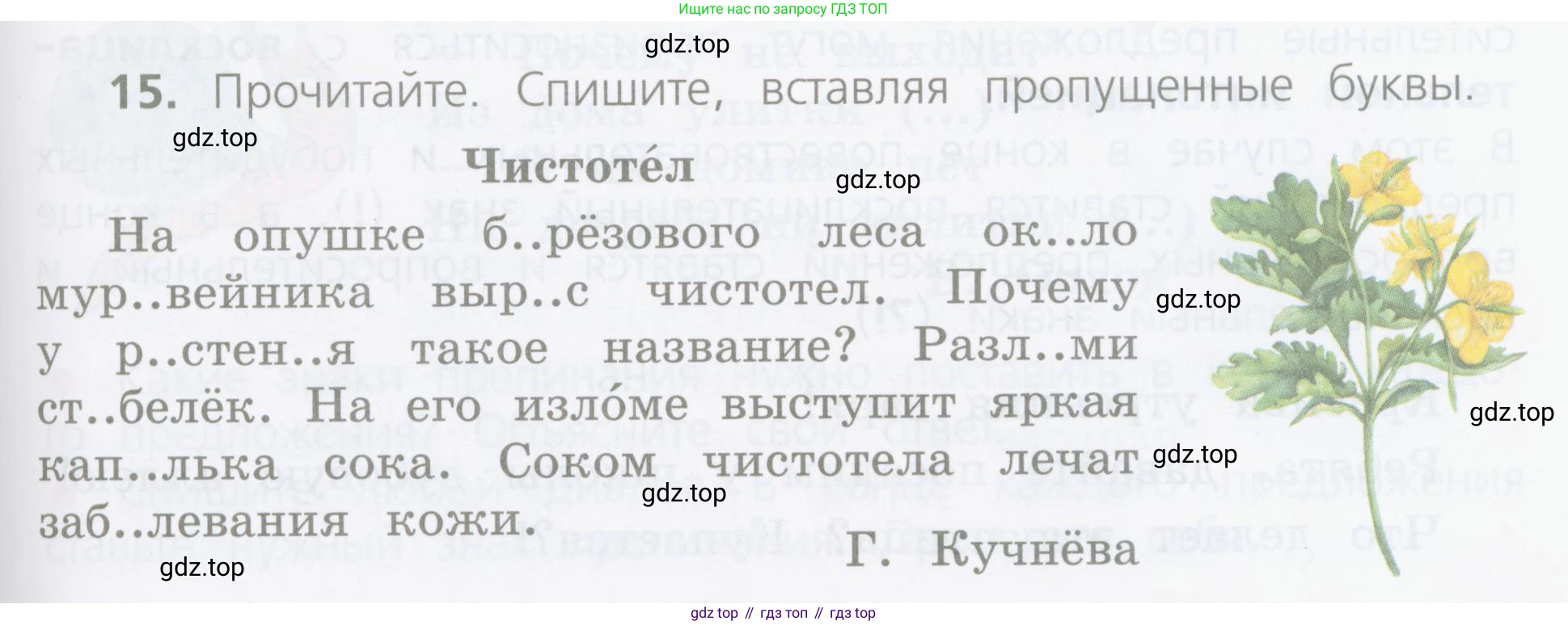 ГДЗ Русский язык, 4 класс Учебник, авторы: Канакина Валентина Павловна, Горецкий Всеслав Гаврилович, издательство Просвещение, Москва, 2023, белого цвета, Часть 1, страница 13, номер 15, Условие