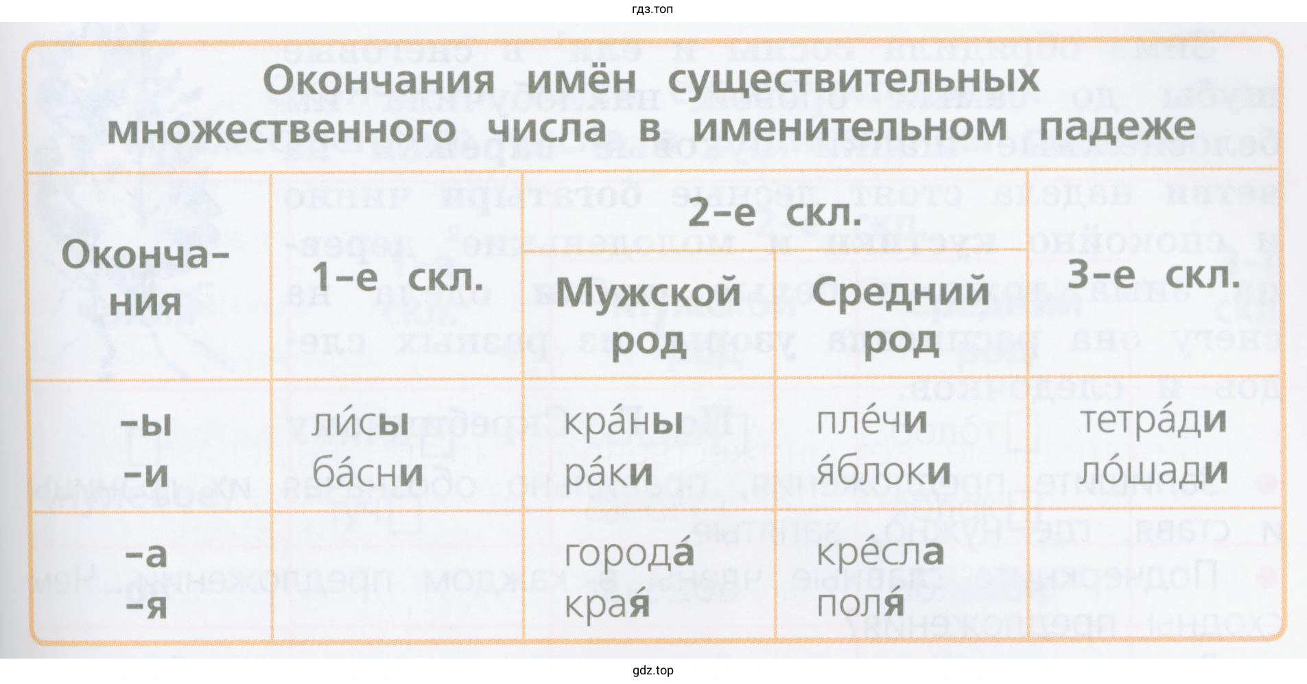 Какие имена существительные во множественном числе имеют окончания -ы? -и? -а? -я?