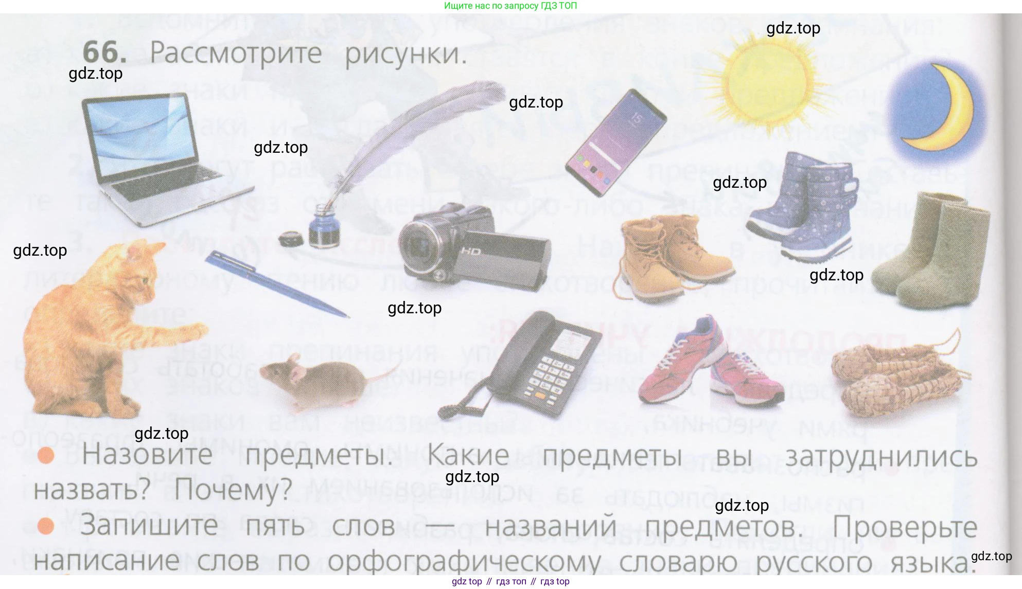 ГДЗ Русский язык, 4 класс Учебник, авторы: Канакина Валентина Павловна, Горецкий Всеслав Гаврилович, издательство Просвещение, Москва, 2023, белого цвета, Часть 1, страница 44, номер 66, Условие