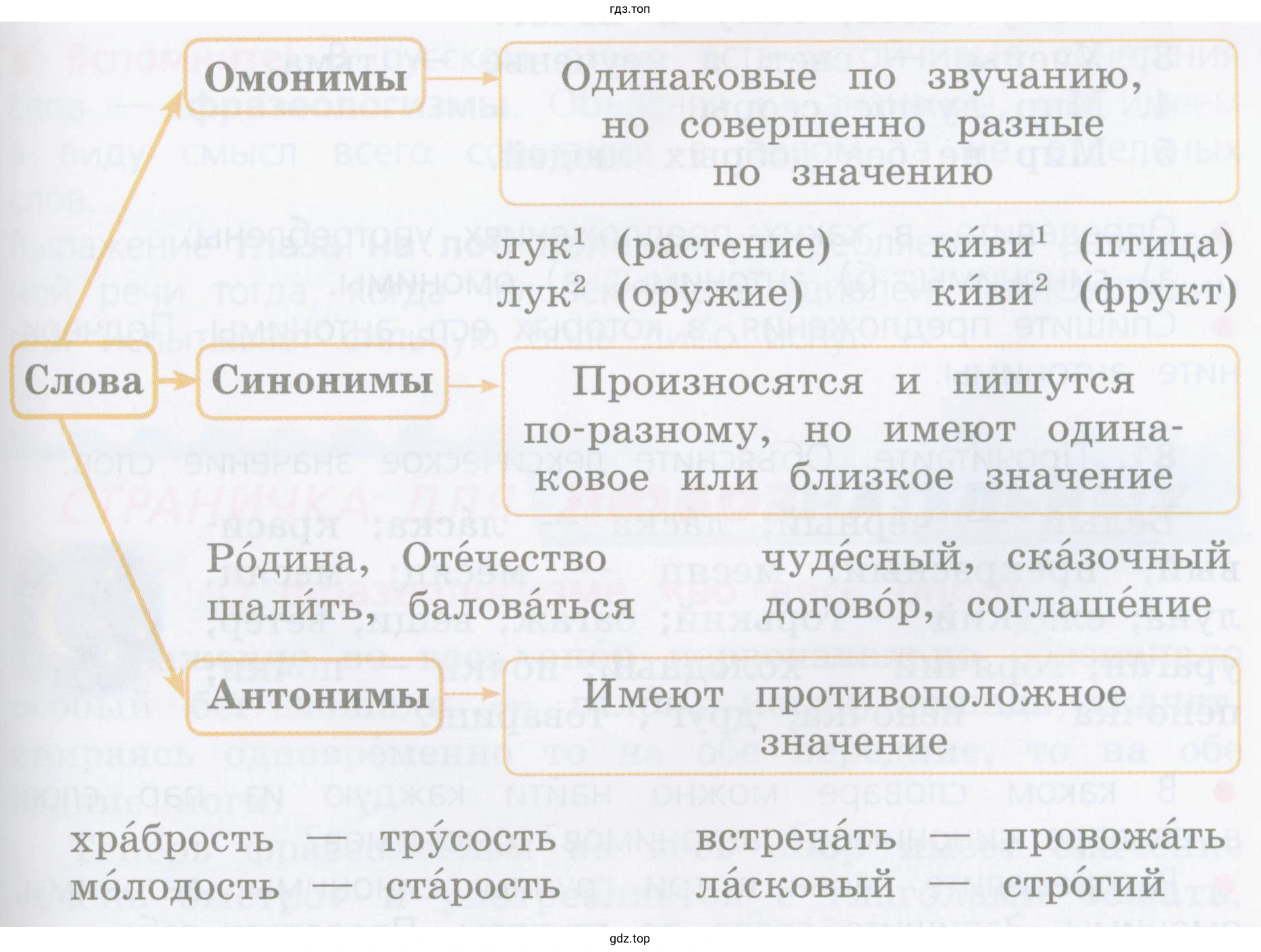 Какими частями речи является каждая пара синонимов? антонимов? омонимов?