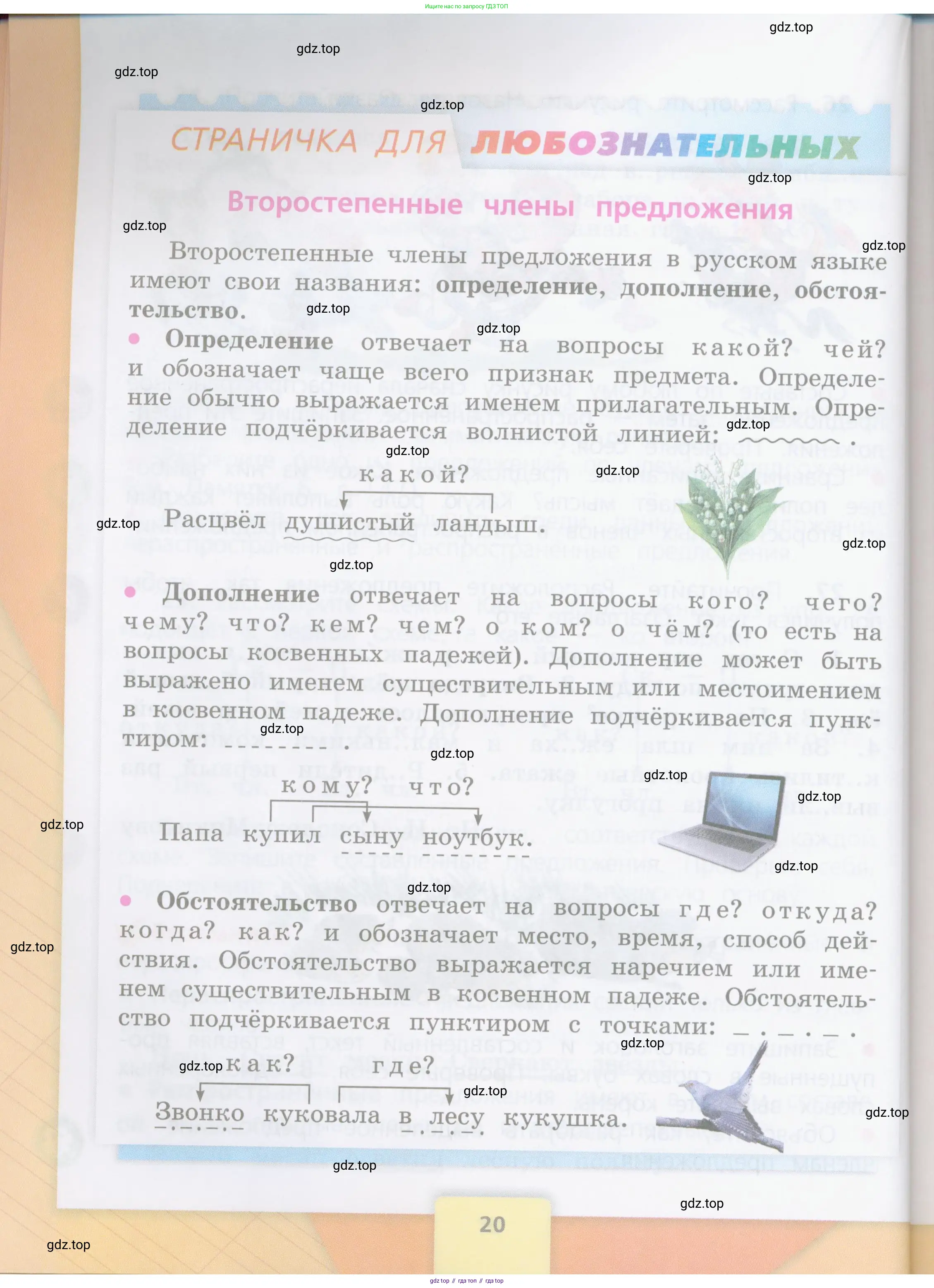 Русский язык, 4 класс Учебник, авторы: Канакина Валентина Павловна, Горецкий Всеслав Гаврилович, издательство Просвещение, Москва, 2023, белого цвета, Часть 2, страница 20