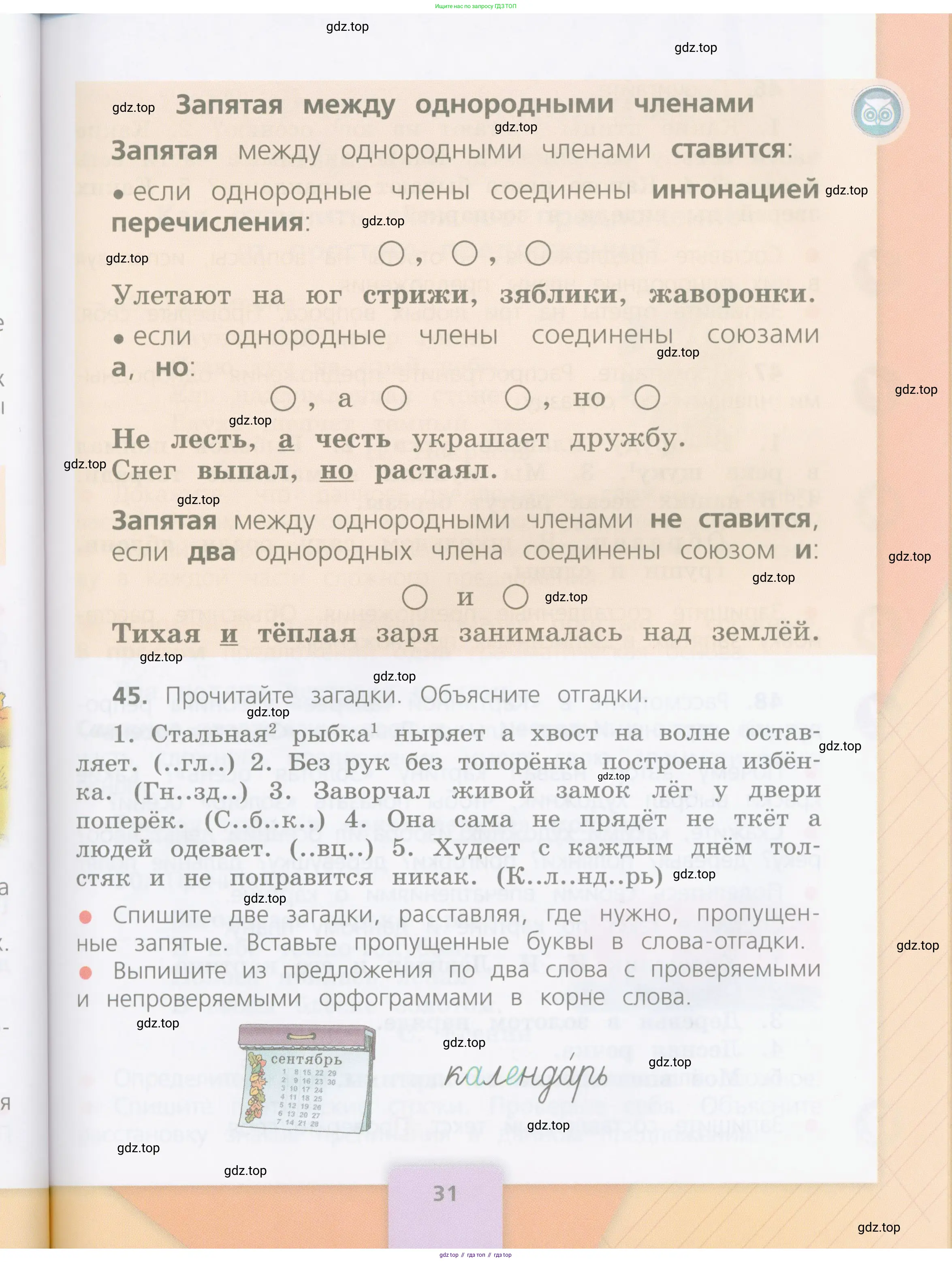 Русский язык, 4 класс Учебник, авторы: Канакина Валентина Павловна, Горецкий Всеслав Гаврилович, издательство Просвещение, Москва, 2023, белого цвета, Часть 1, страница 31