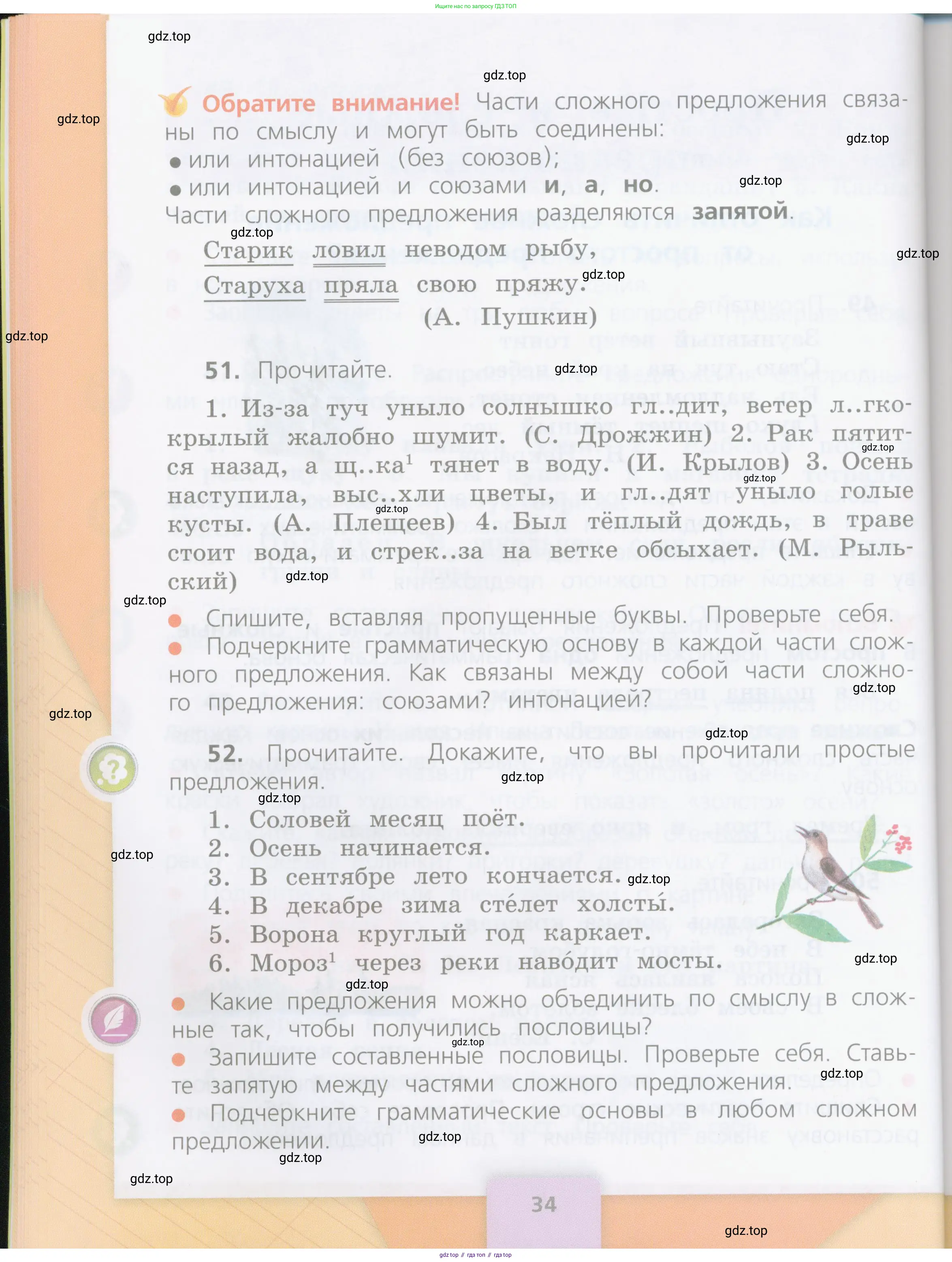 Русский язык, 4 класс Учебник, авторы: Канакина Валентина Павловна, Горецкий Всеслав Гаврилович, издательство Просвещение, Москва, 2023, белого цвета, Часть 1, страница 34
