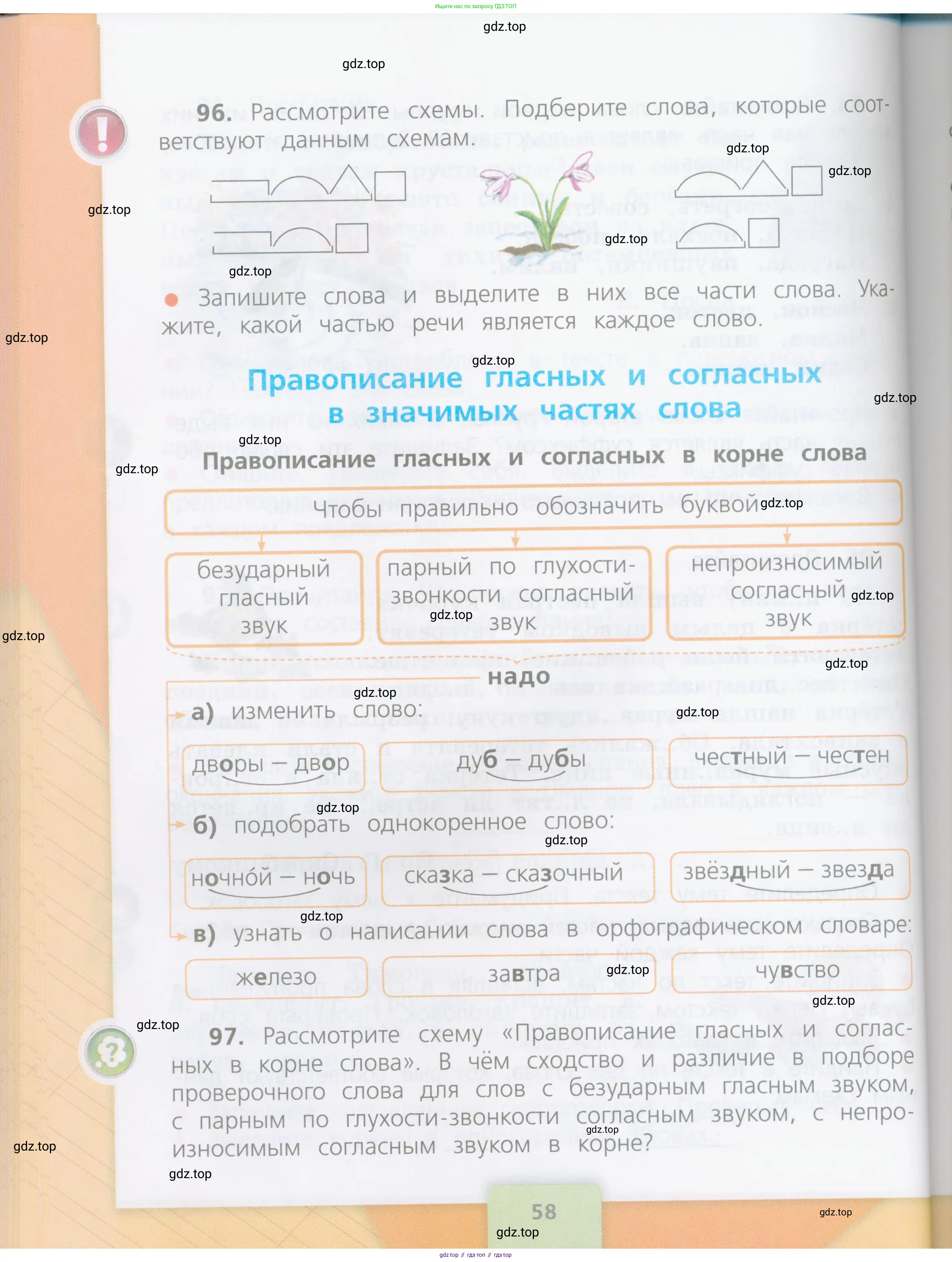 Русский язык, 4 класс Учебник, авторы: Канакина Валентина Павловна, Горецкий Всеслав Гаврилович, издательство Просвещение, Москва, 2023, белого цвета, Часть 1, страница 58