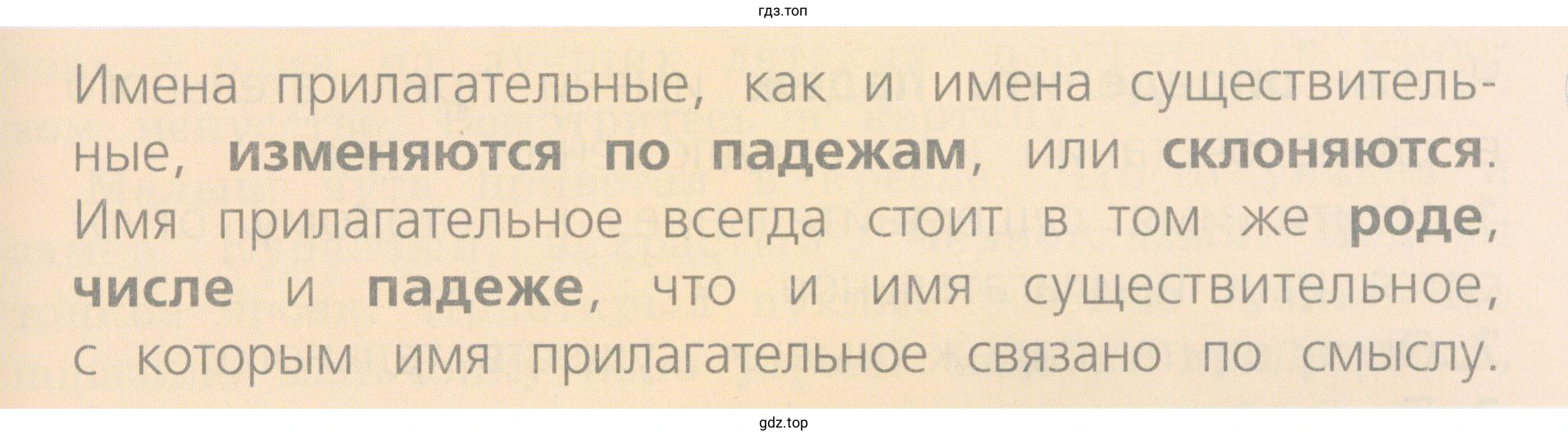 Какие имена прилагательные склоняются одинаково?