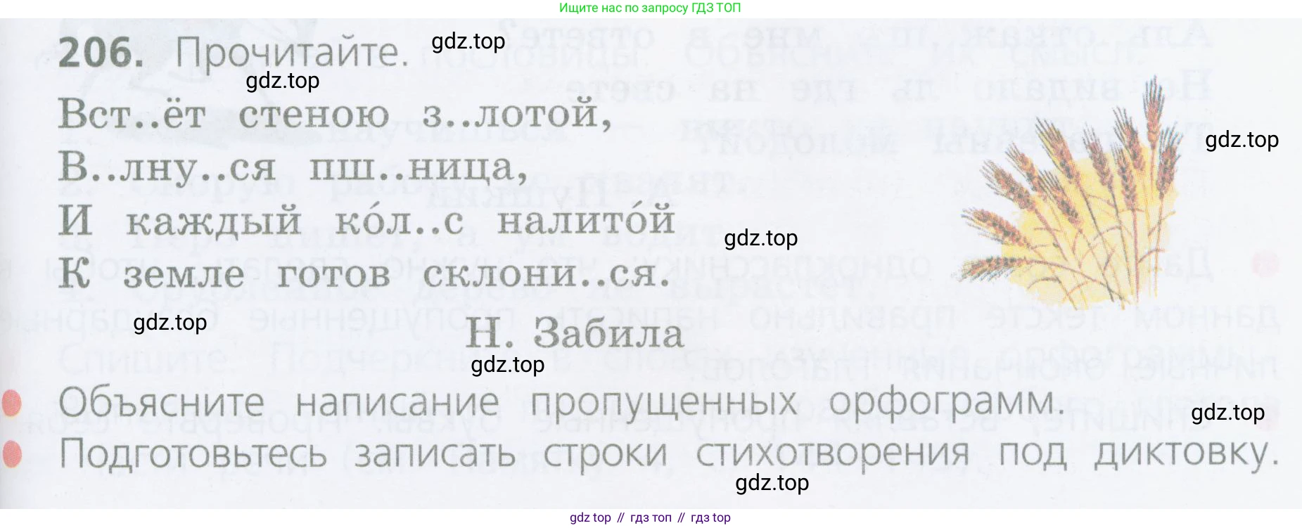 ГДЗ Русский язык, 4 класс Учебник, авторы: Канакина Валентина Павловна, Горецкий Всеслав Гаврилович, издательство Просвещение, Москва, 2023, белого цвета, Часть 2, страница 101, номер 206, Условие