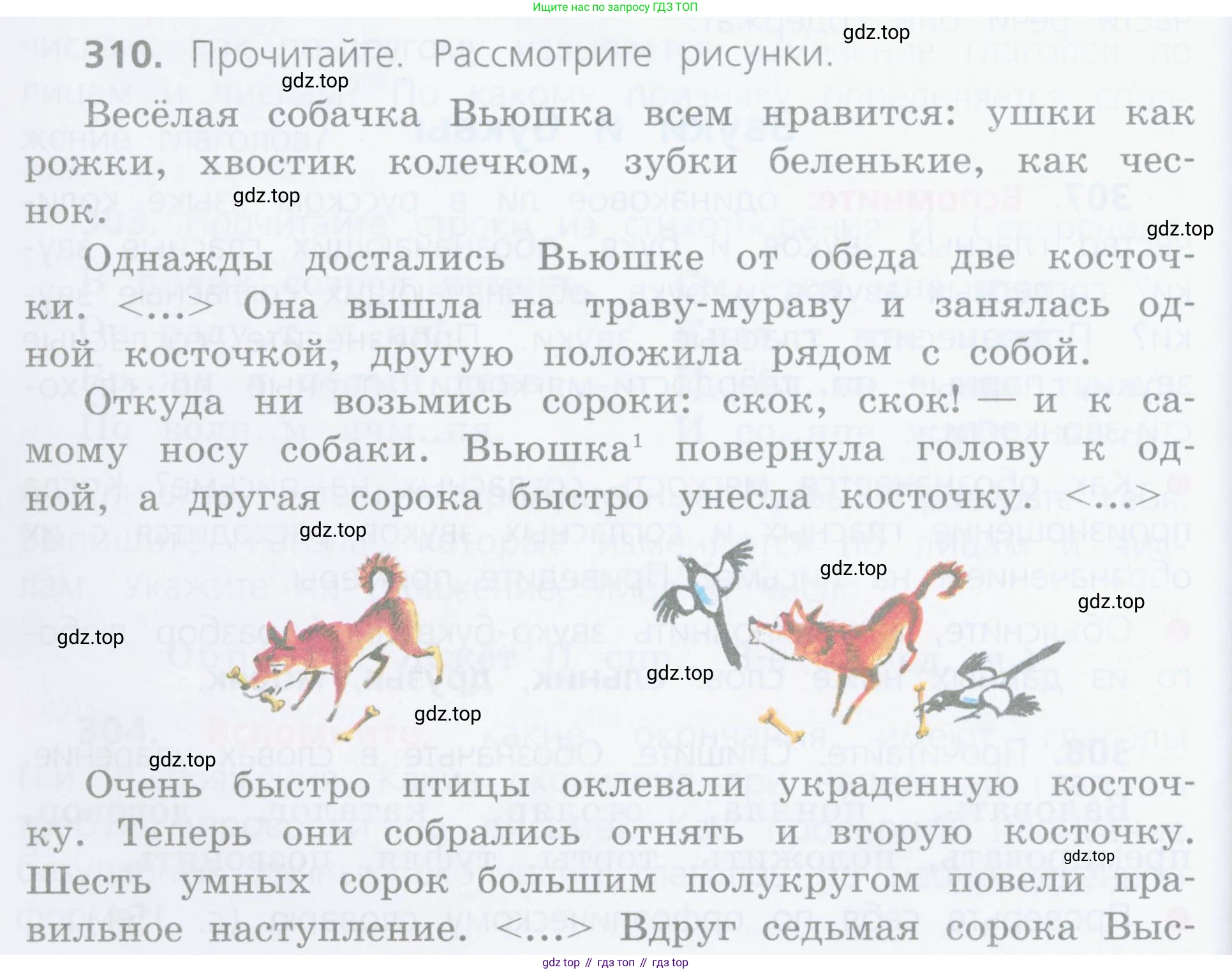Русский язык, 4 класс Учебник, авторы: Канакина Валентина Павловна, Горецкий Всеслав Гаврилович, издательство Просвещение, Москва, 2023, белого цвета, Часть 2, страница 138, номер 310, Условие