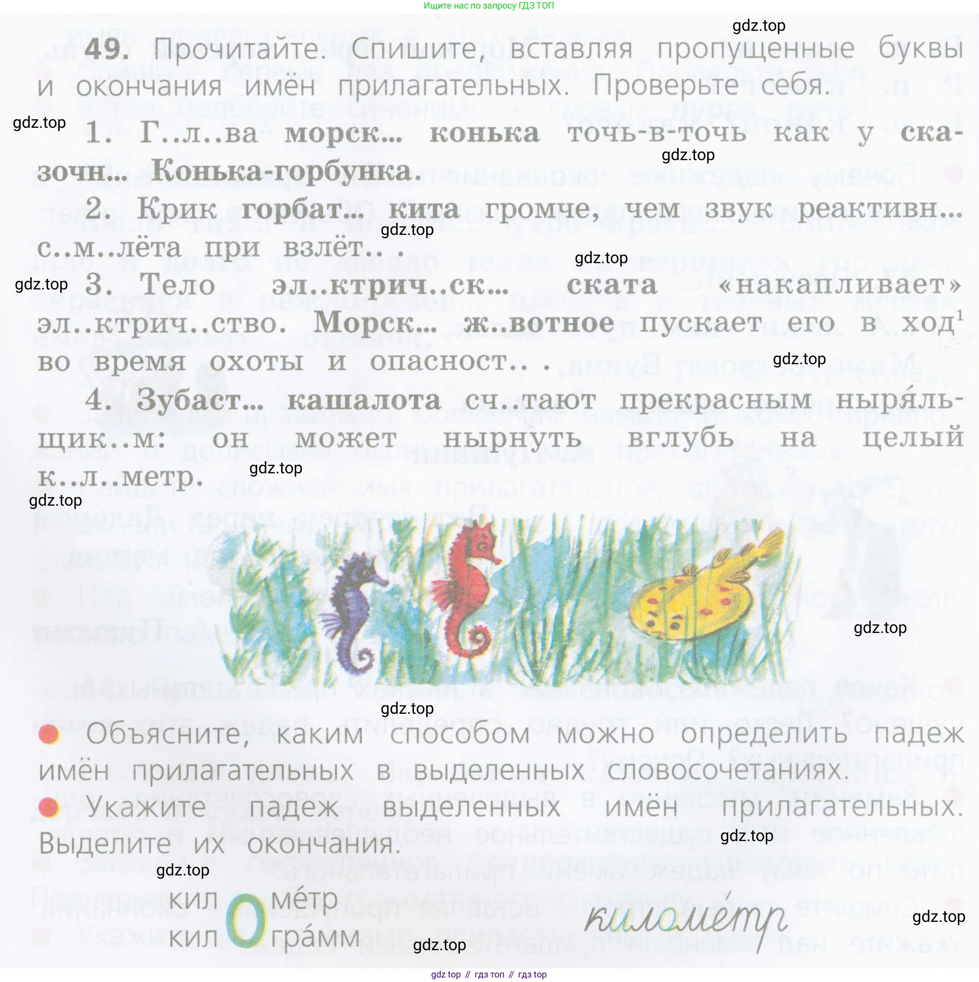 ГДЗ Русский язык, 4 класс Учебник, авторы: Канакина Валентина Павловна, Горецкий Всеслав Гаврилович, издательство Просвещение, Москва, 2023, белого цвета, Часть 2, страница 24, номер 49, Условие