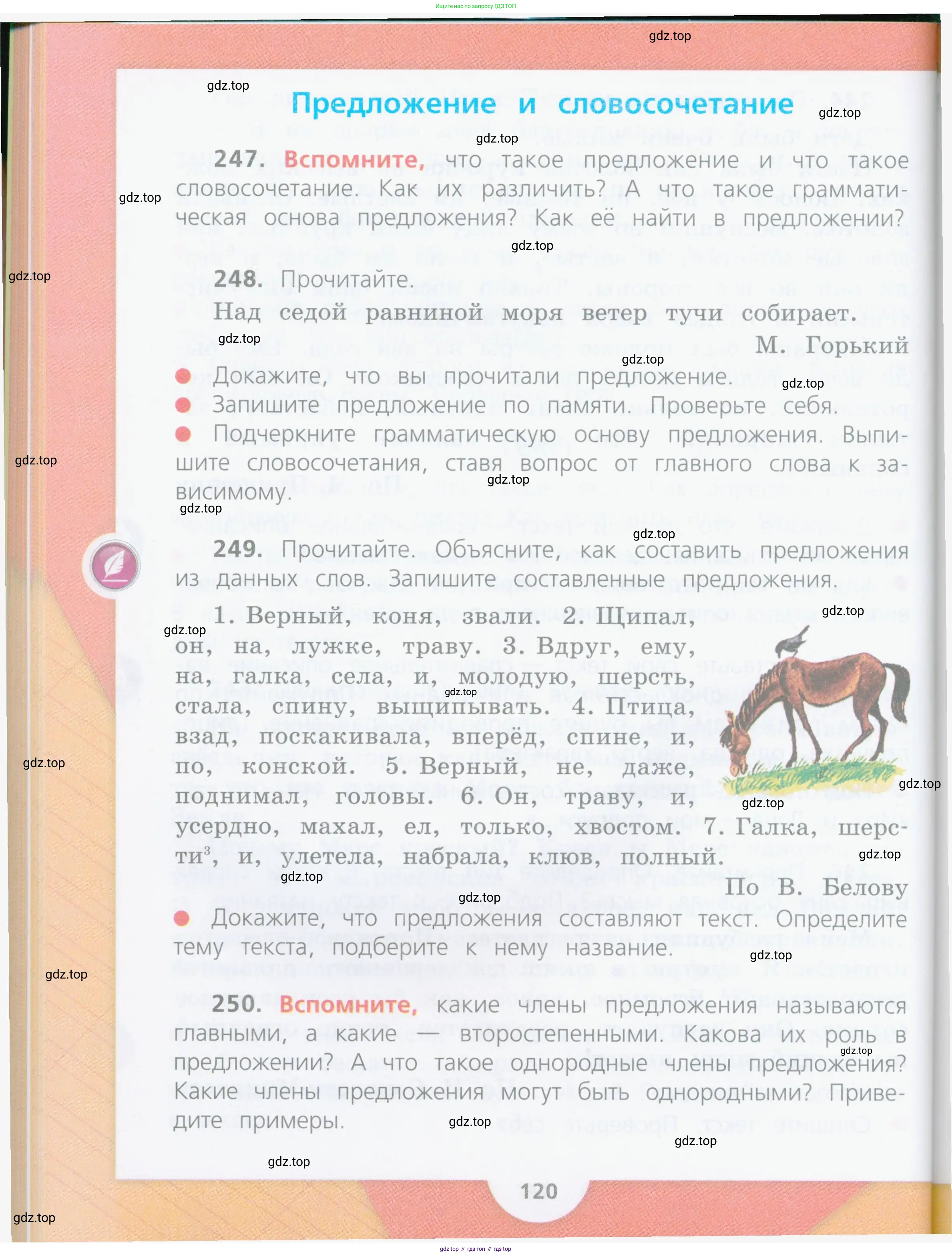 Русский язык, 4 класс Учебник, авторы: Канакина Валентина Павловна, Горецкий Всеслав Гаврилович, издательство Просвещение, Москва, 2023, белого цвета, Часть 1, страница 120