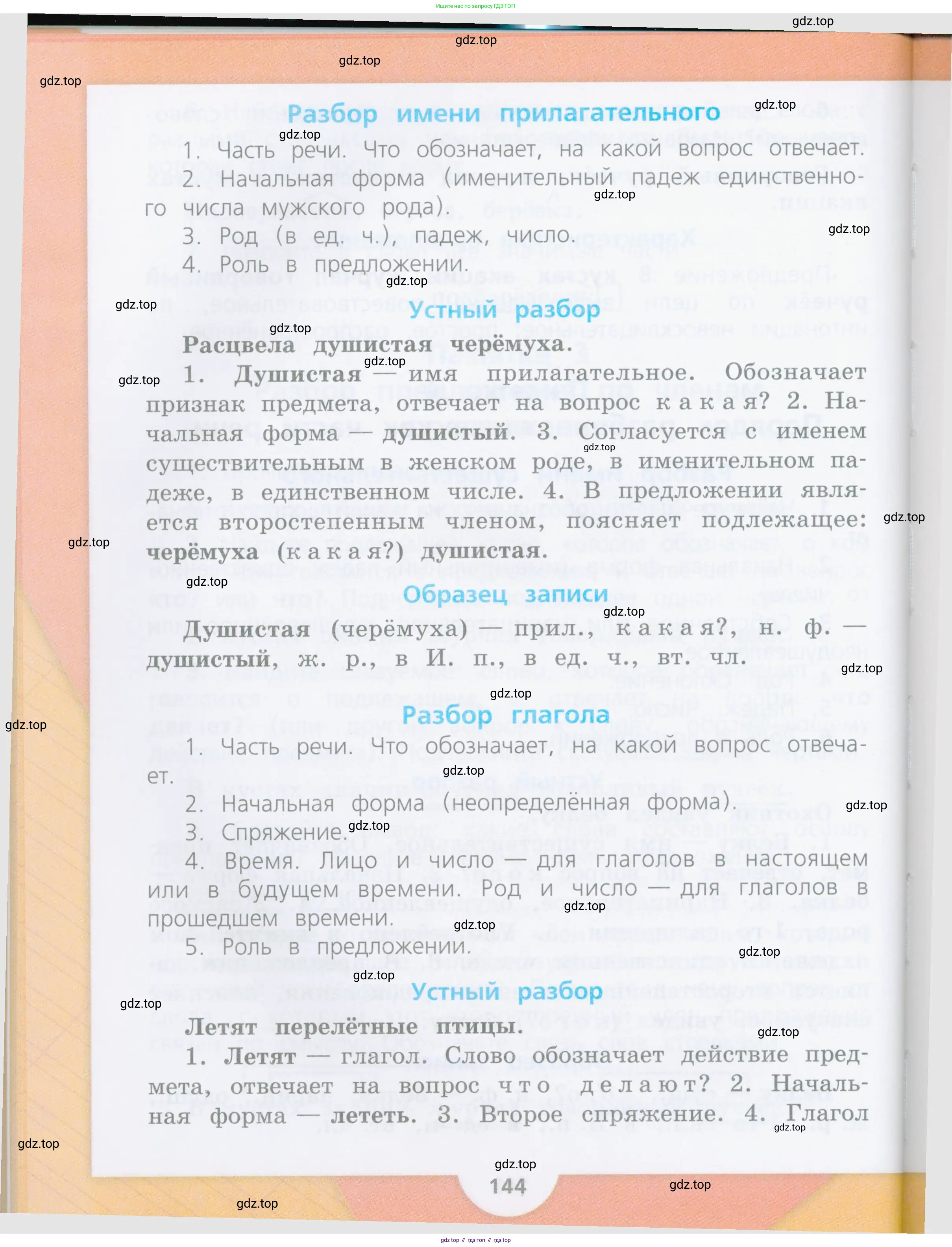 Русский язык, 4 класс Учебник, авторы: Канакина Валентина Павловна, Горецкий Всеслав Гаврилович, издательство Просвещение, Москва, 2023, белого цвета, Часть 1, страница 142
