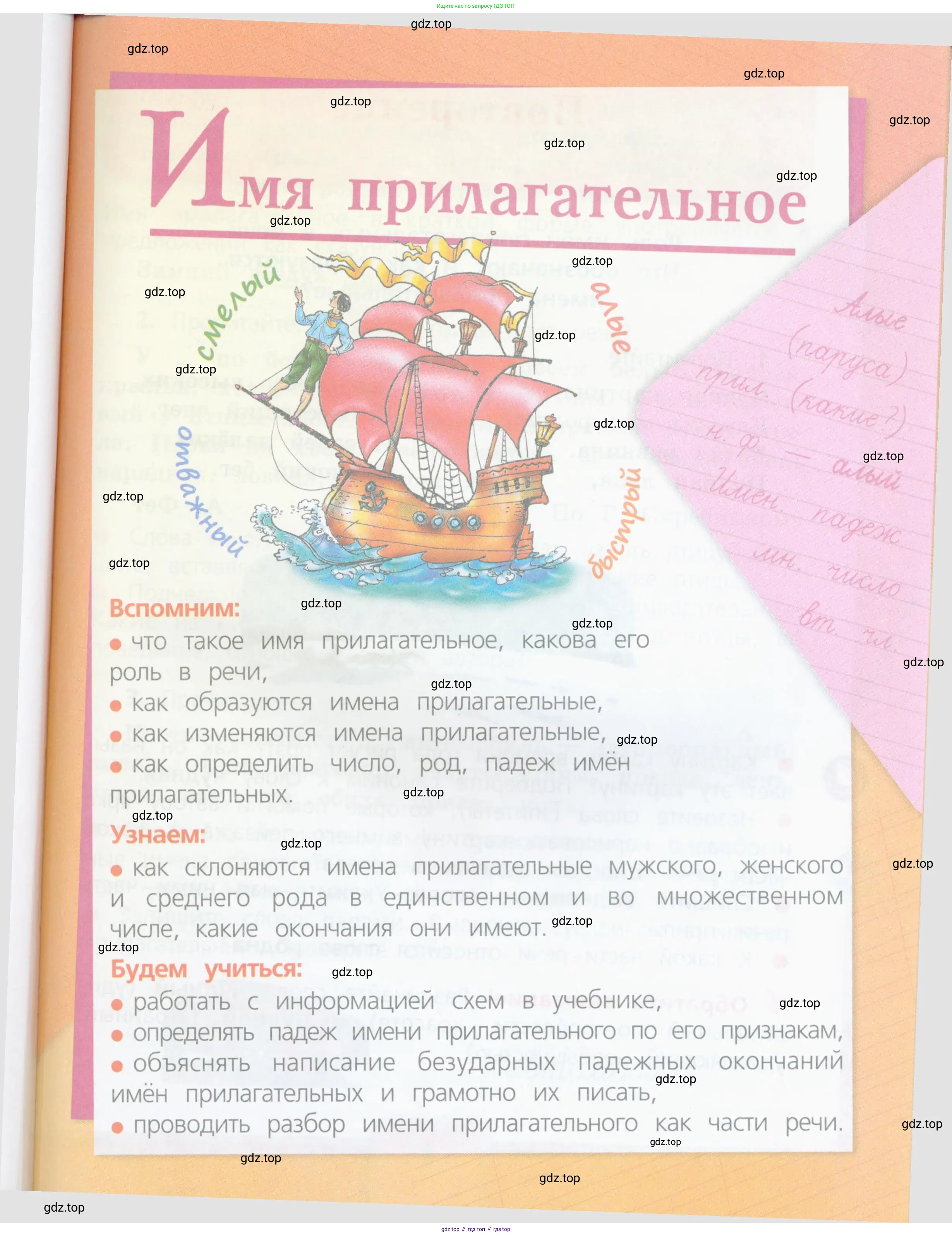 Русский язык, 4 класс Учебник, авторы: Канакина Валентина Павловна, Горецкий Всеслав Гаврилович, издательство Просвещение, Москва, 2023, белого цвета, страница 3