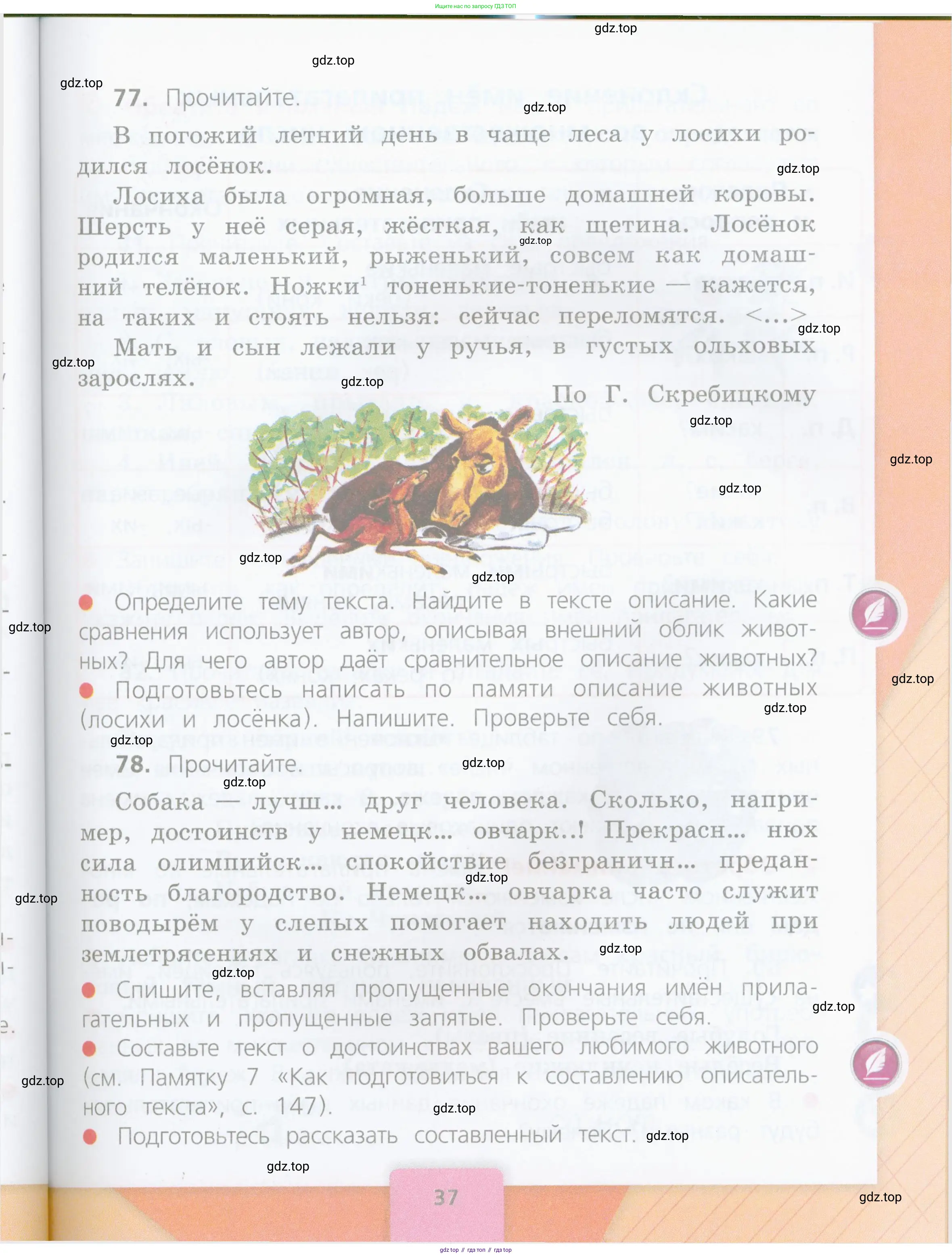Русский язык, 4 класс Учебник, авторы: Канакина Валентина Павловна, Горецкий Всеслав Гаврилович, издательство Просвещение, Москва, 2023, белого цвета, Часть 1, страница 37