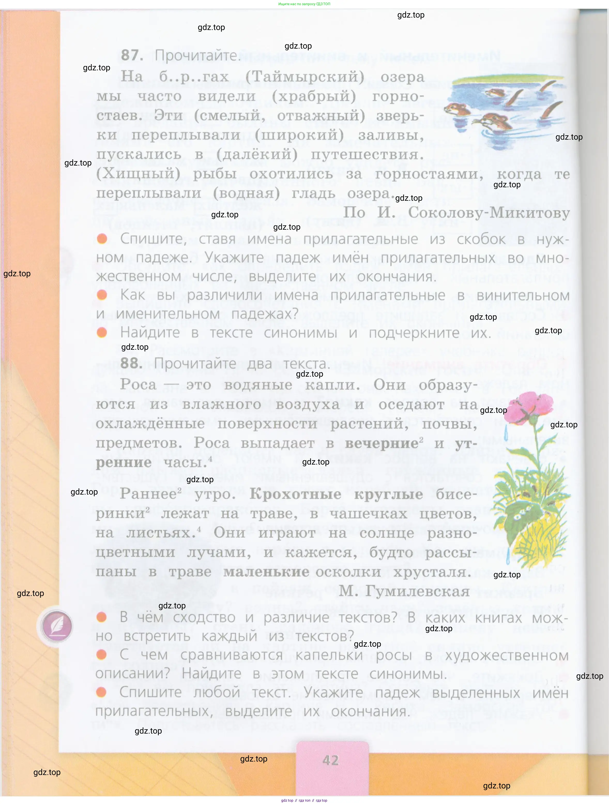 Русский язык, 4 класс Учебник, авторы: Канакина Валентина Павловна, Горецкий Всеслав Гаврилович, издательство Просвещение, Москва, 2023, белого цвета, Часть 1, страница 42