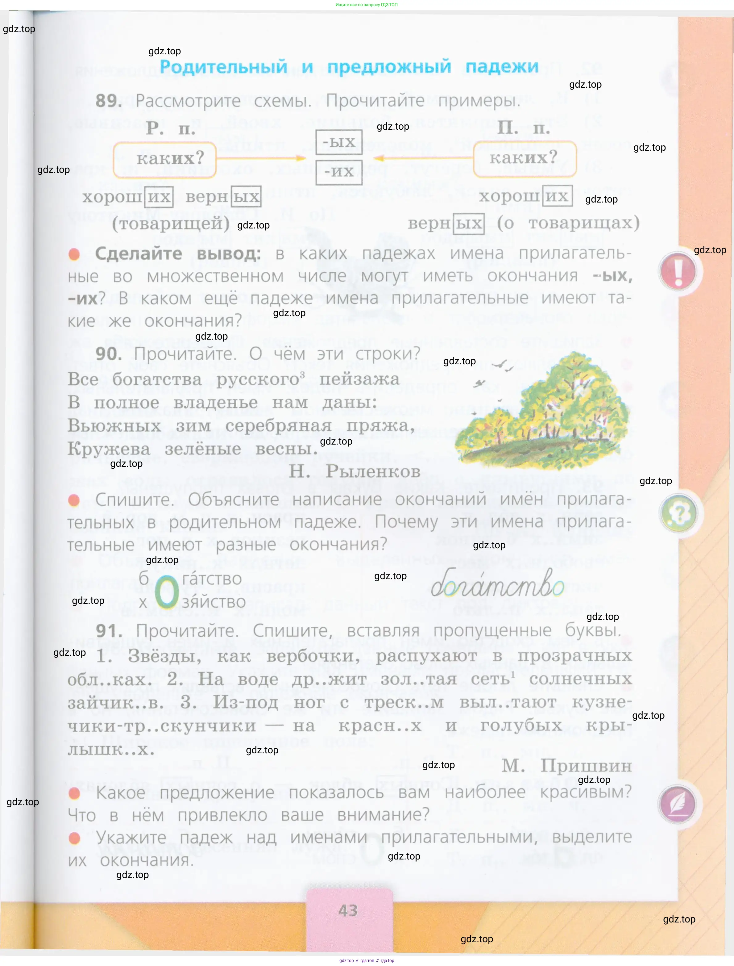 Русский язык, 4 класс Учебник, авторы: Канакина Валентина Павловна, Горецкий Всеслав Гаврилович, издательство Просвещение, Москва, 2023, белого цвета, Часть 2, страница 43