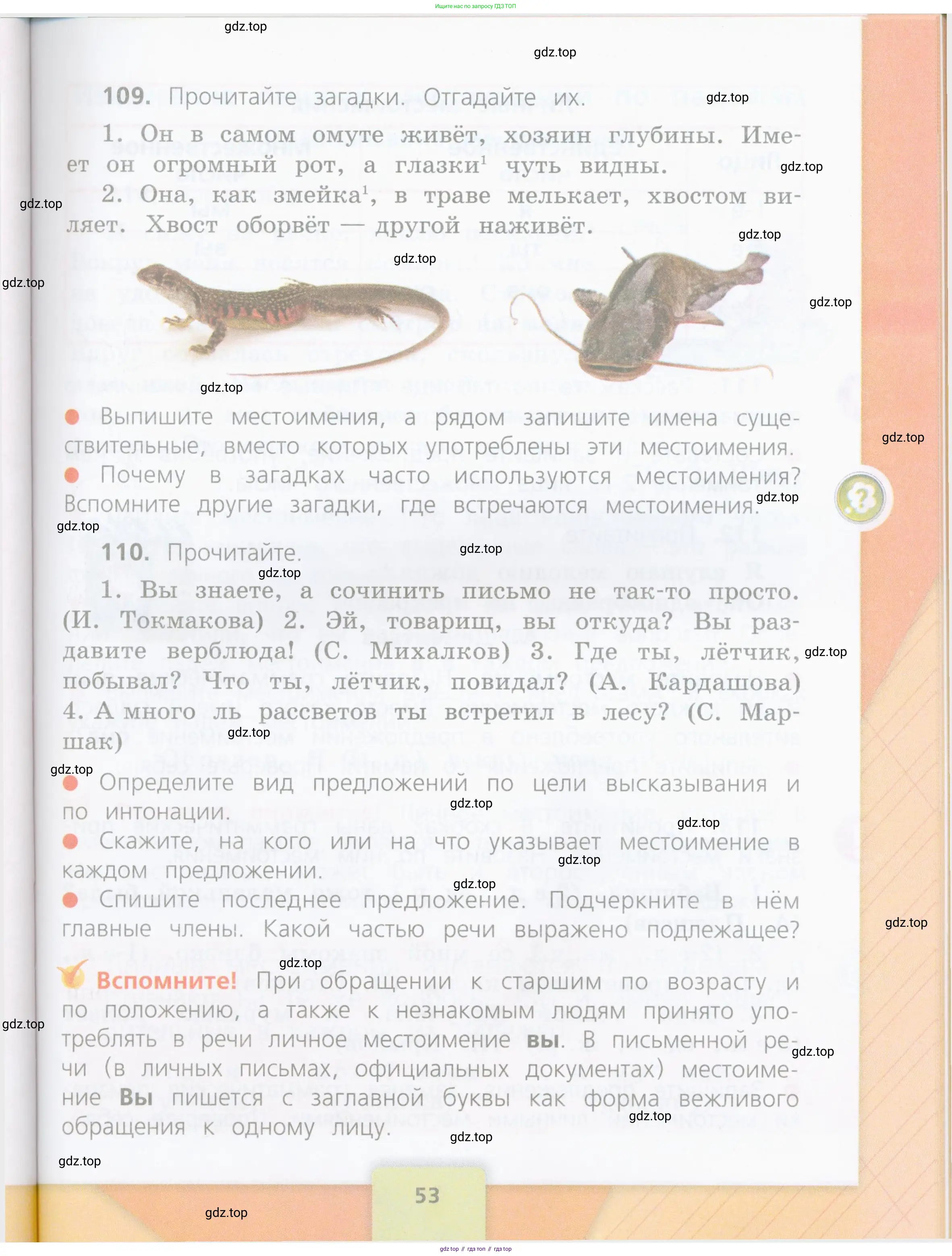 Русский язык, 4 класс Учебник, авторы: Канакина Валентина Павловна, Горецкий Всеслав Гаврилович, издательство Просвещение, Москва, 2023, белого цвета, Часть 1, страница 53