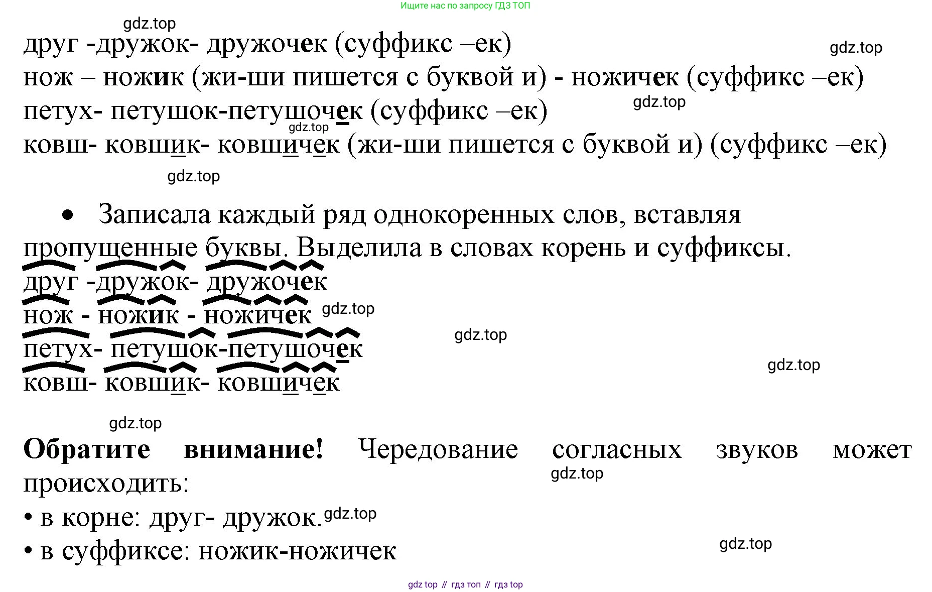 ГДЗ Русский язык, 4 класс Учебник, авторы: Канакина Валентина Павловна, Горецкий Всеслав Гаврилович, издательство Просвещение, Москва, 2023, белого цвета, Часть 1, страница 64, номер 110, Решение (продолжение 2)